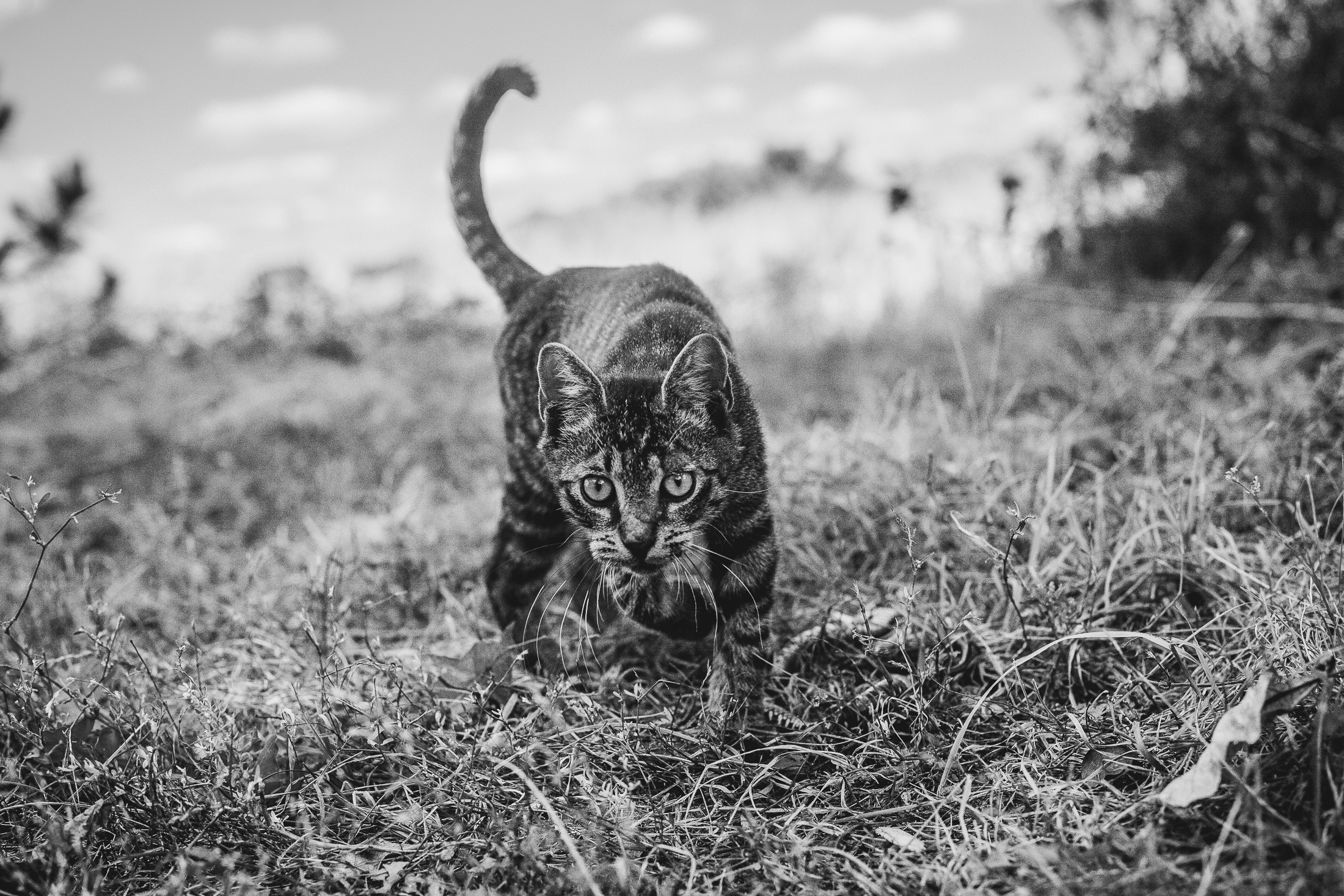 Иртыш и уж. Фотограф в Петербурге Татьяна Гуляева