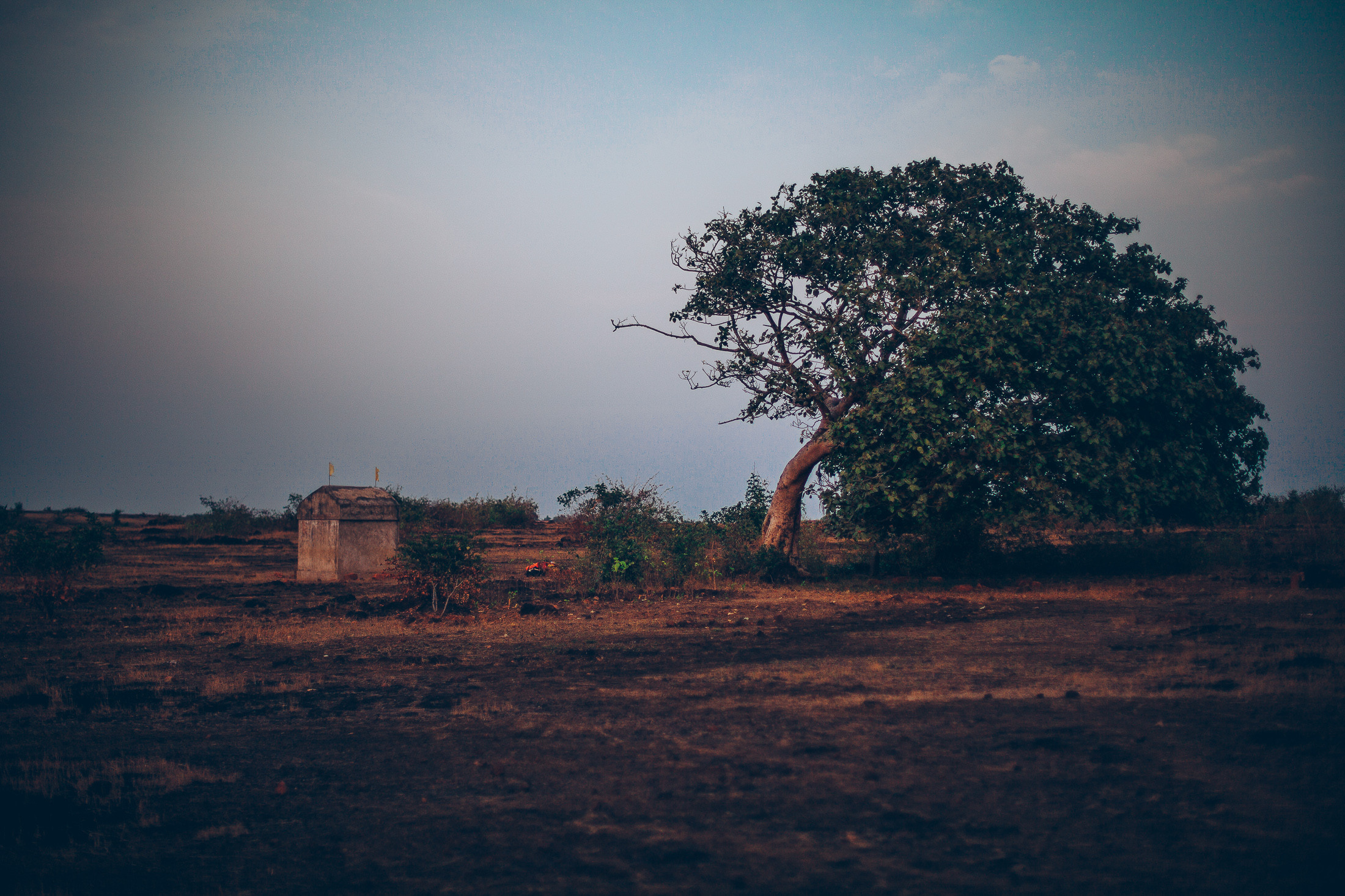 India Unsafe. Фотограф в Петербурге Татьяна Гуляева