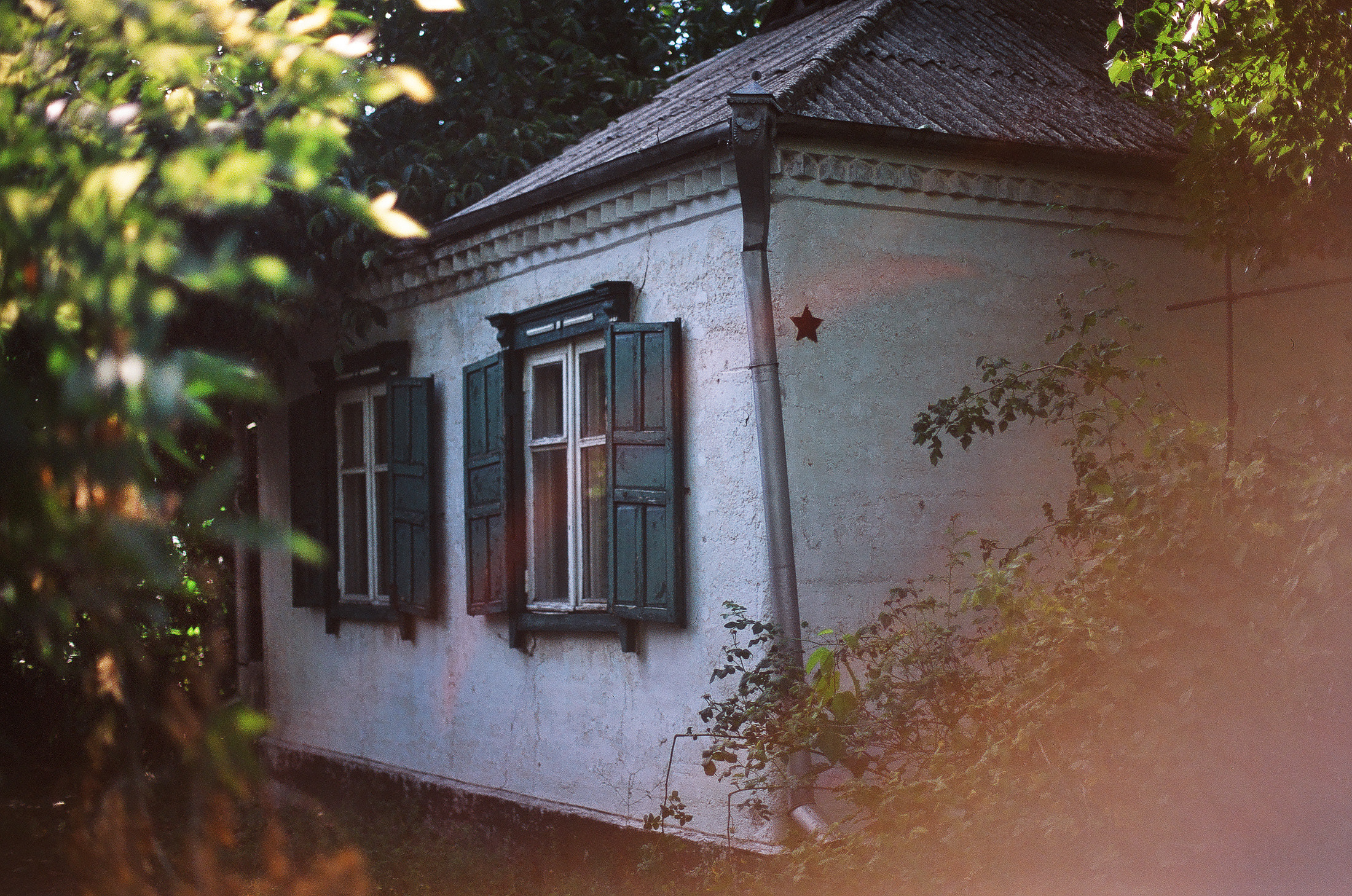 Моя мама Украина. Фотограф в Петербурге Татьяна Гуляева