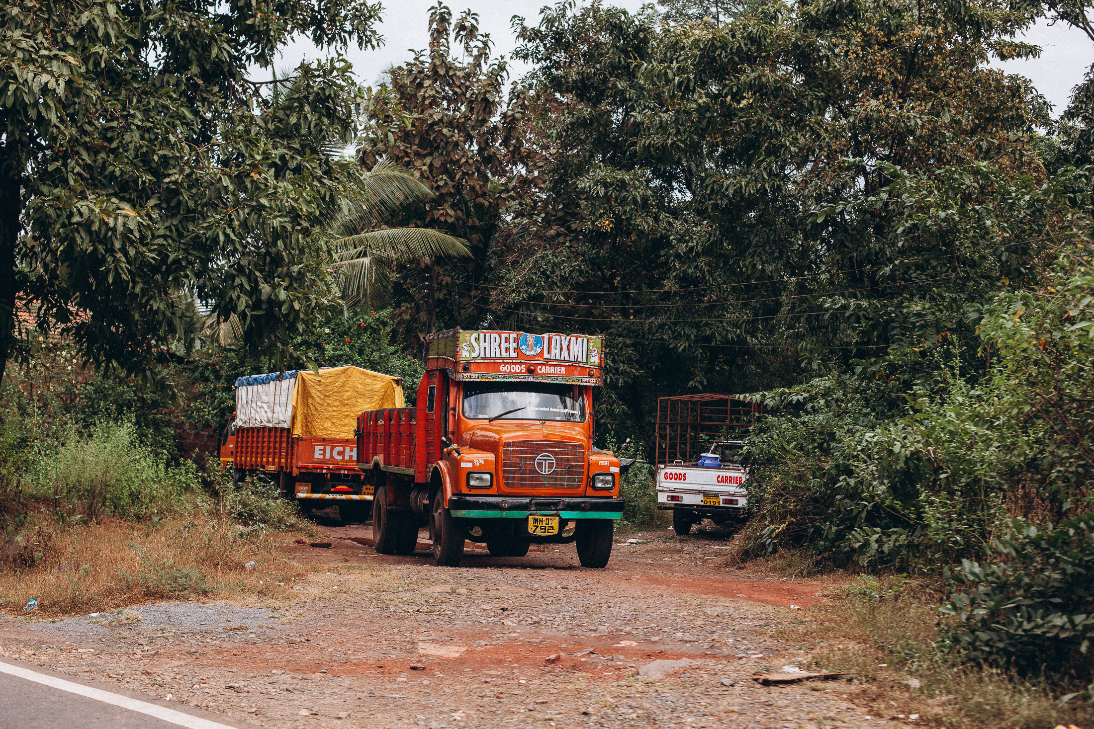 India Unsafe. Фотограф в Петербурге Татьяна Гуляева