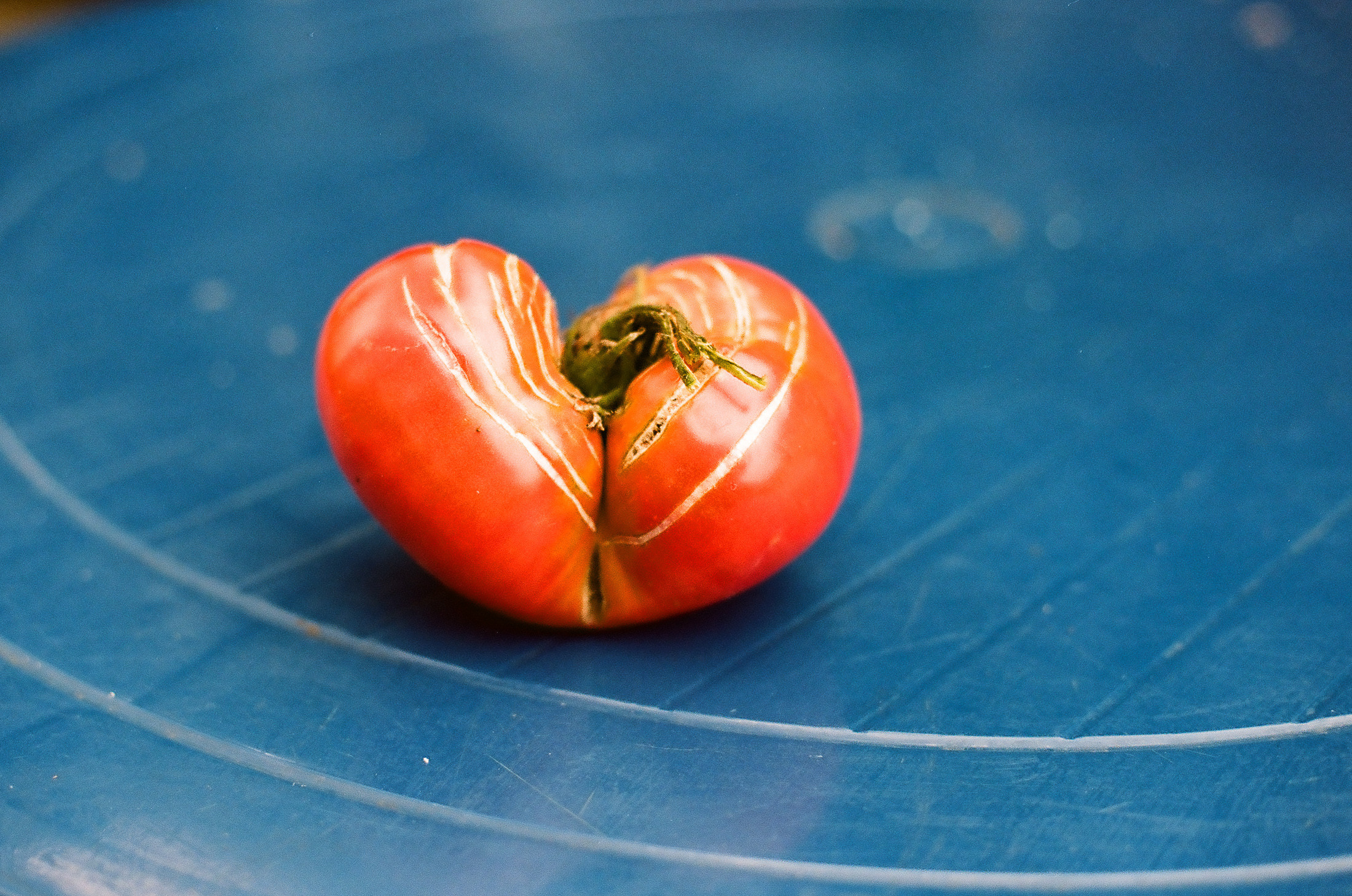 Моя мама Украина. Фотограф в Петербурге Татьяна Гуляева