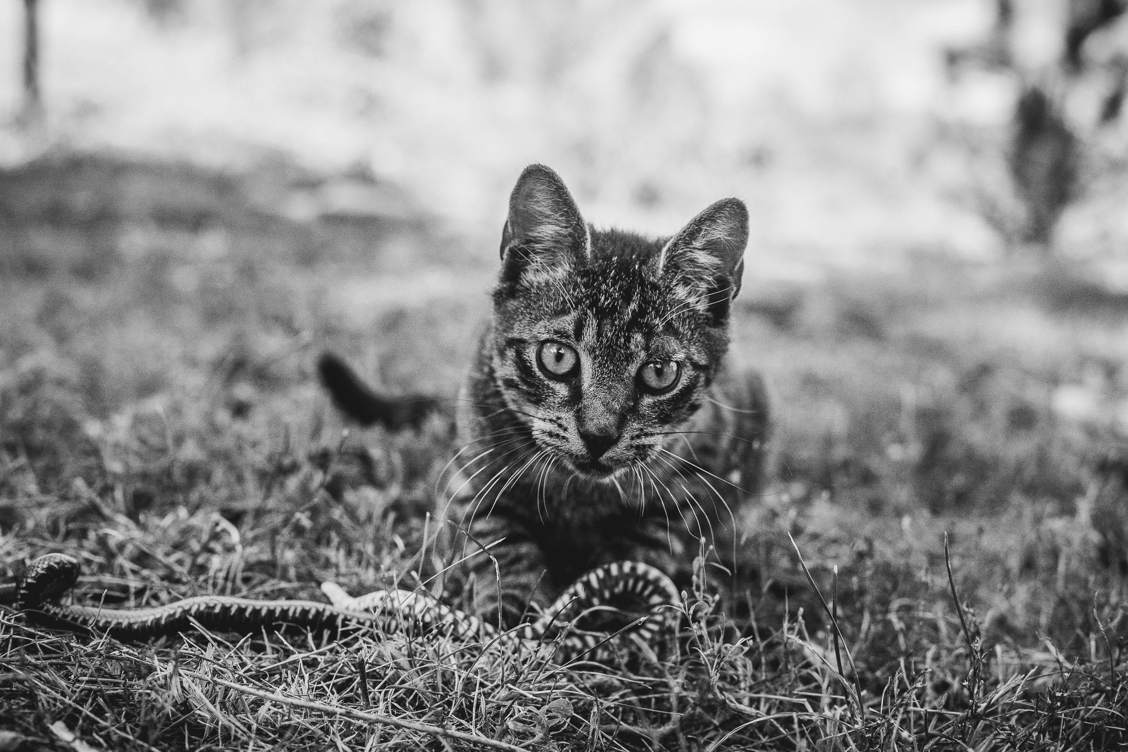 Иртыш и уж. Фотограф в Петербурге Татьяна Гуляева