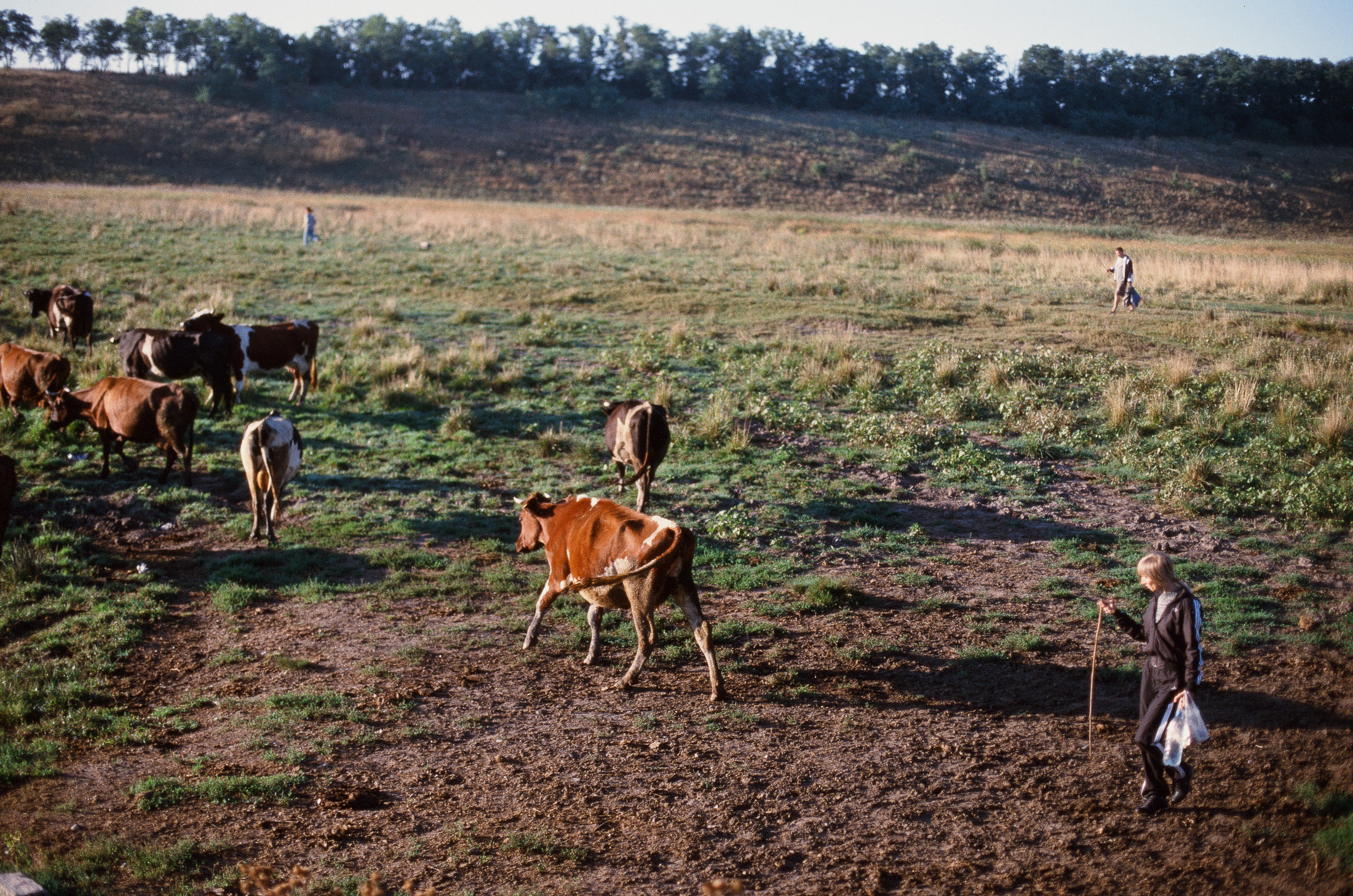 Моя мама Украина. Фотограф в Петербурге Татьяна Гуляева