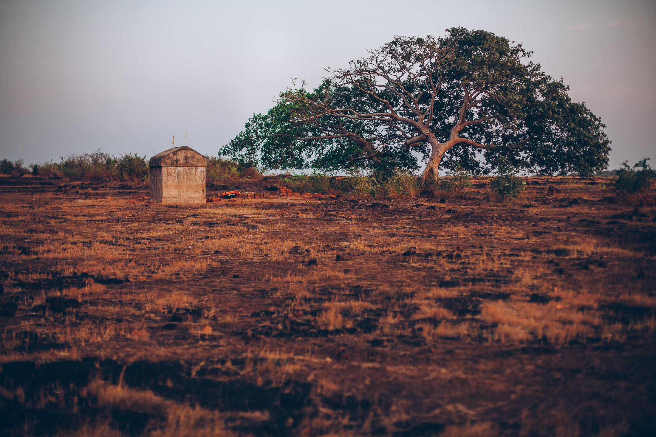 India Unsafe. Фотограф в Петербурге Татьяна Гуляева