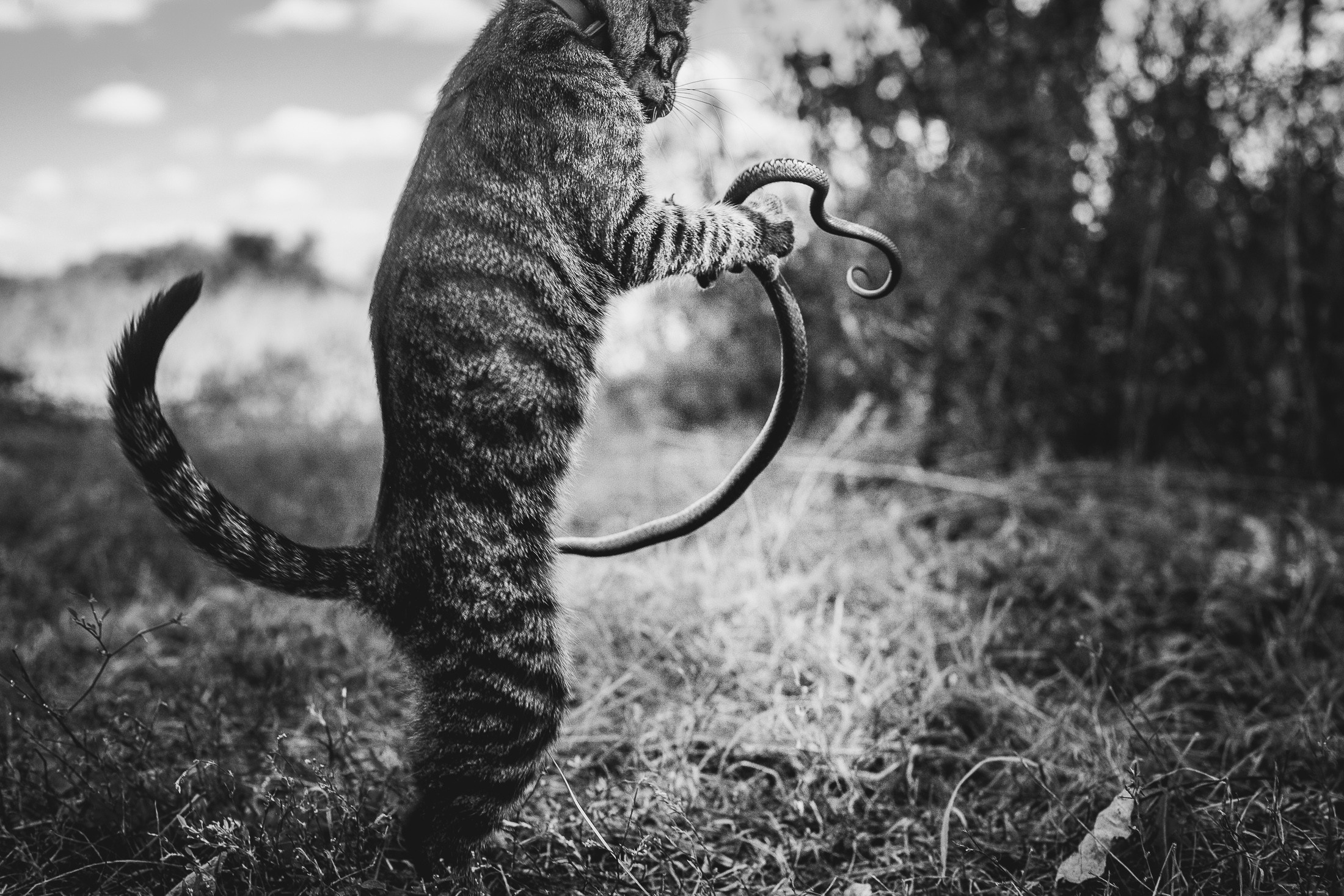 Иртыш и уж. Фотограф в Петербурге Татьяна Гуляева