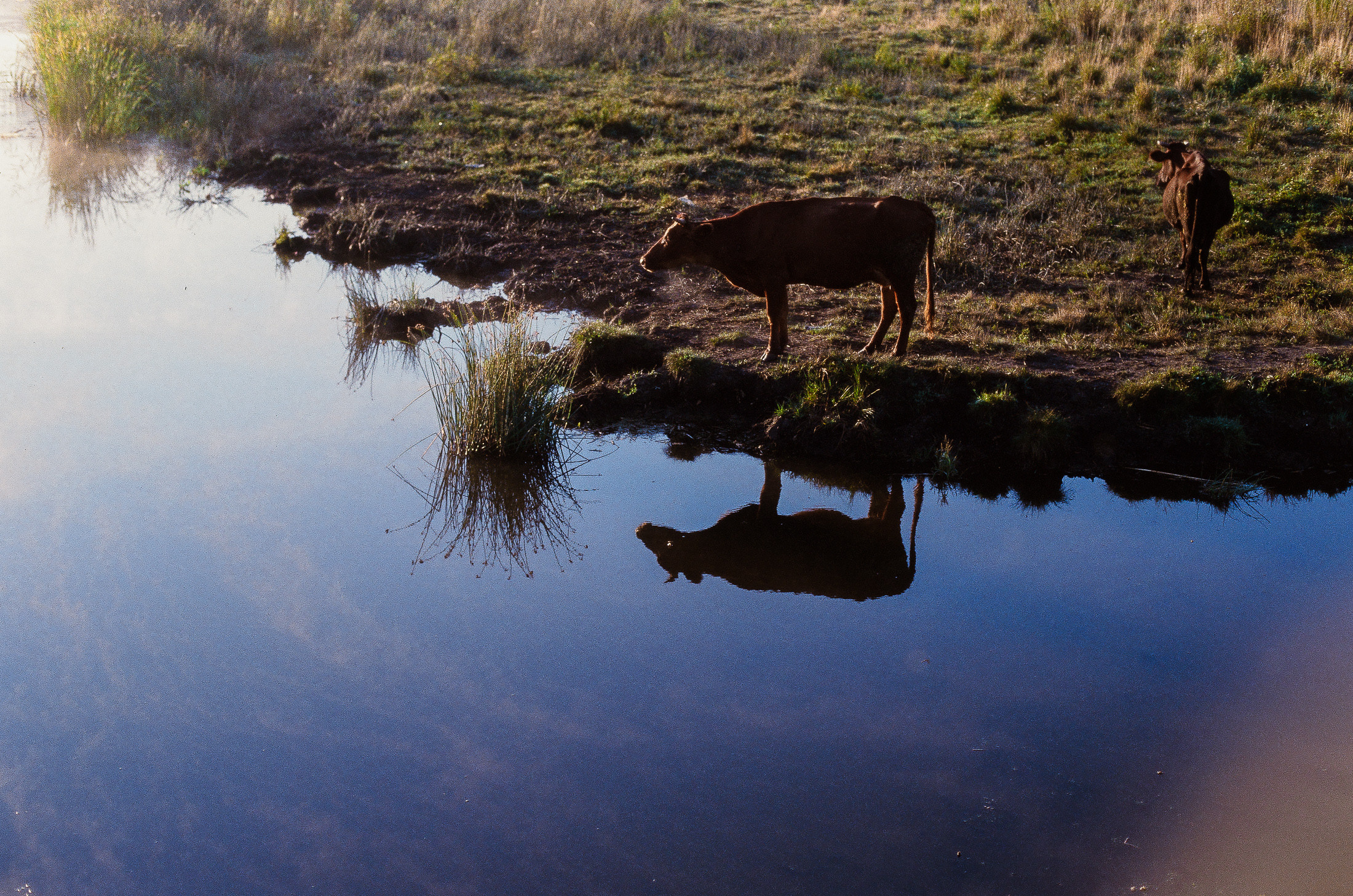 Моя мама Украина. Фотограф в Петербурге Татьяна Гуляева