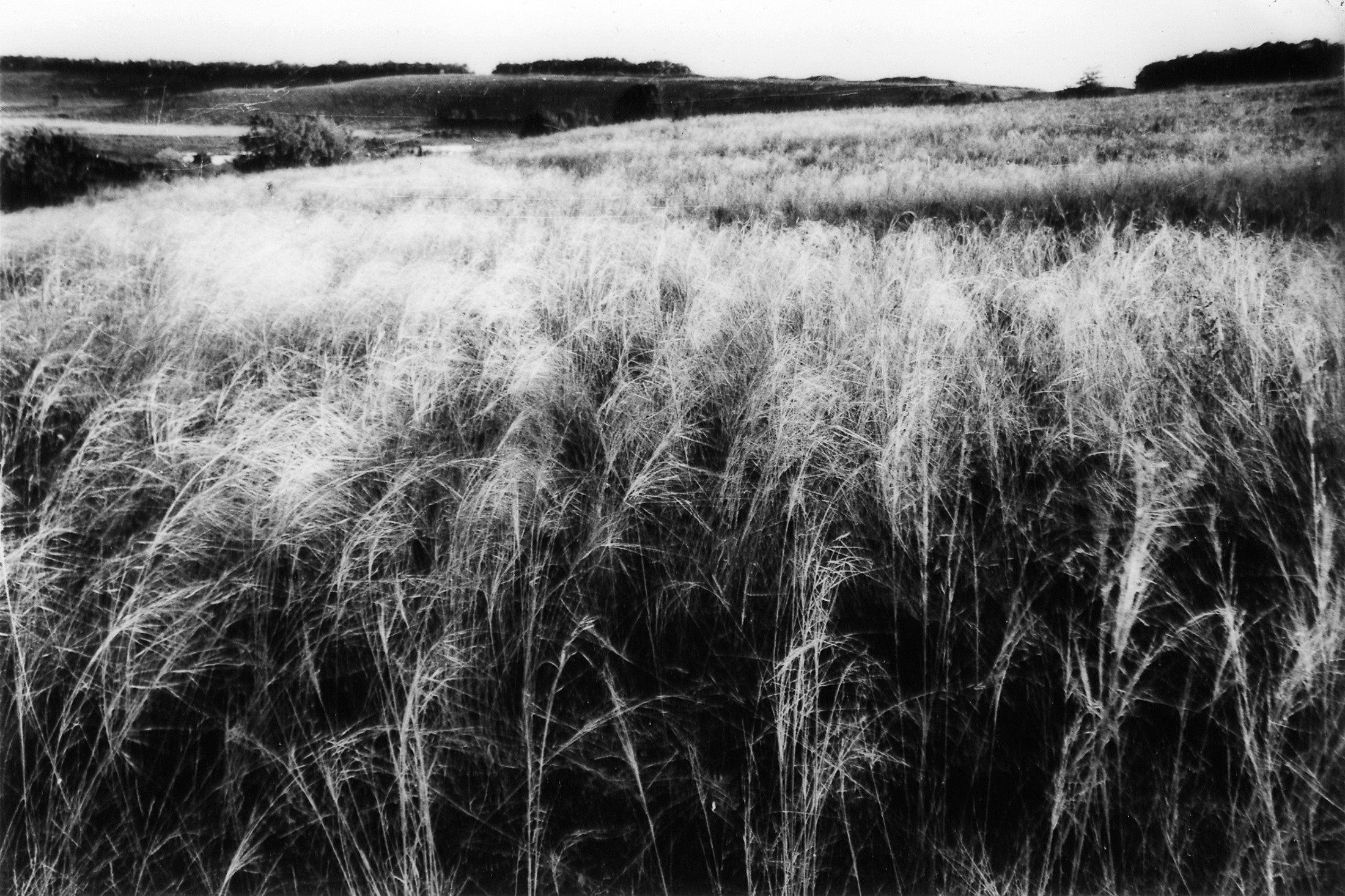 Моя мама Украина. Фотограф в Петербурге Татьяна Гуляева