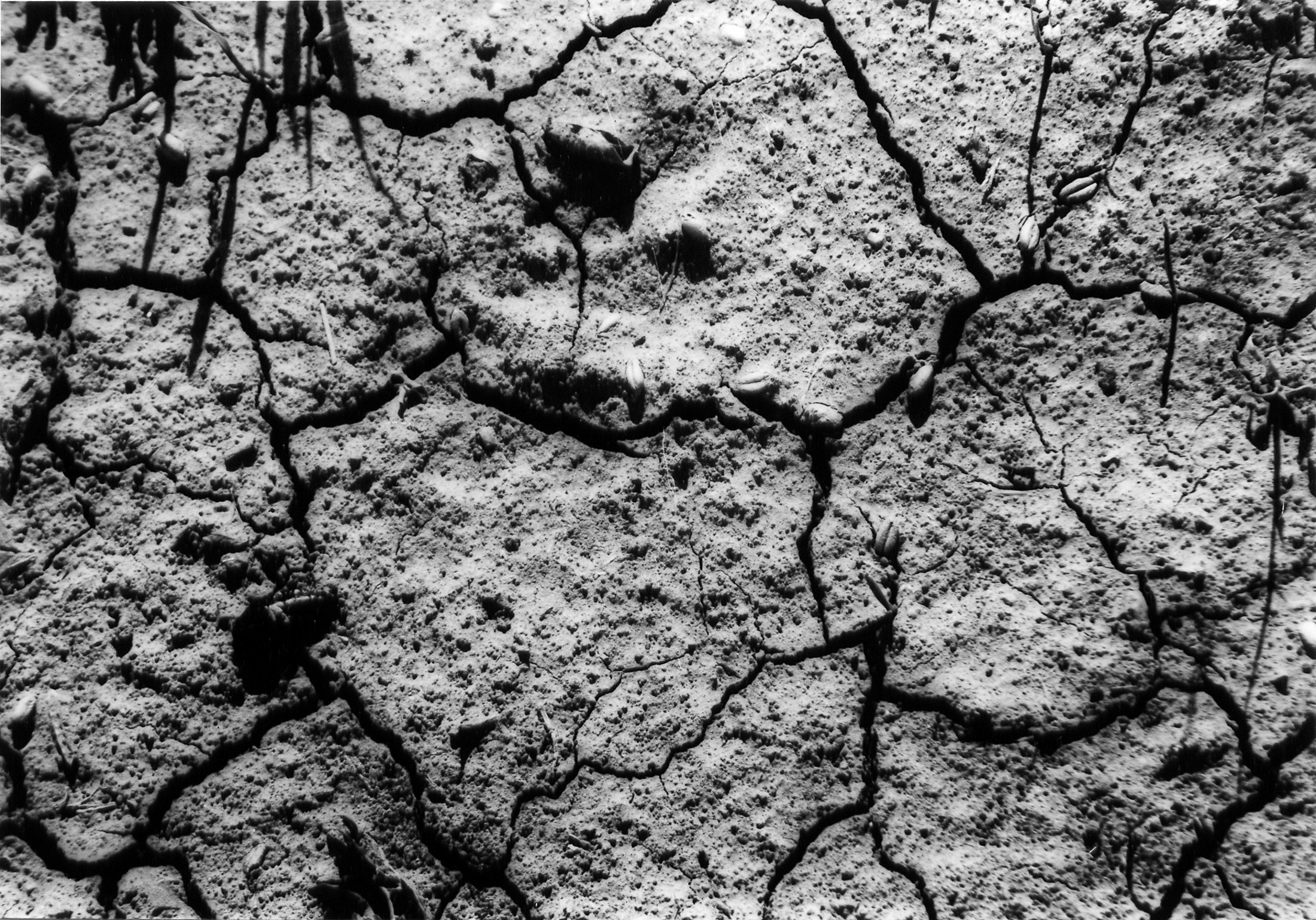 Моя мама Украина. Фотограф в Петербурге Татьяна Гуляева