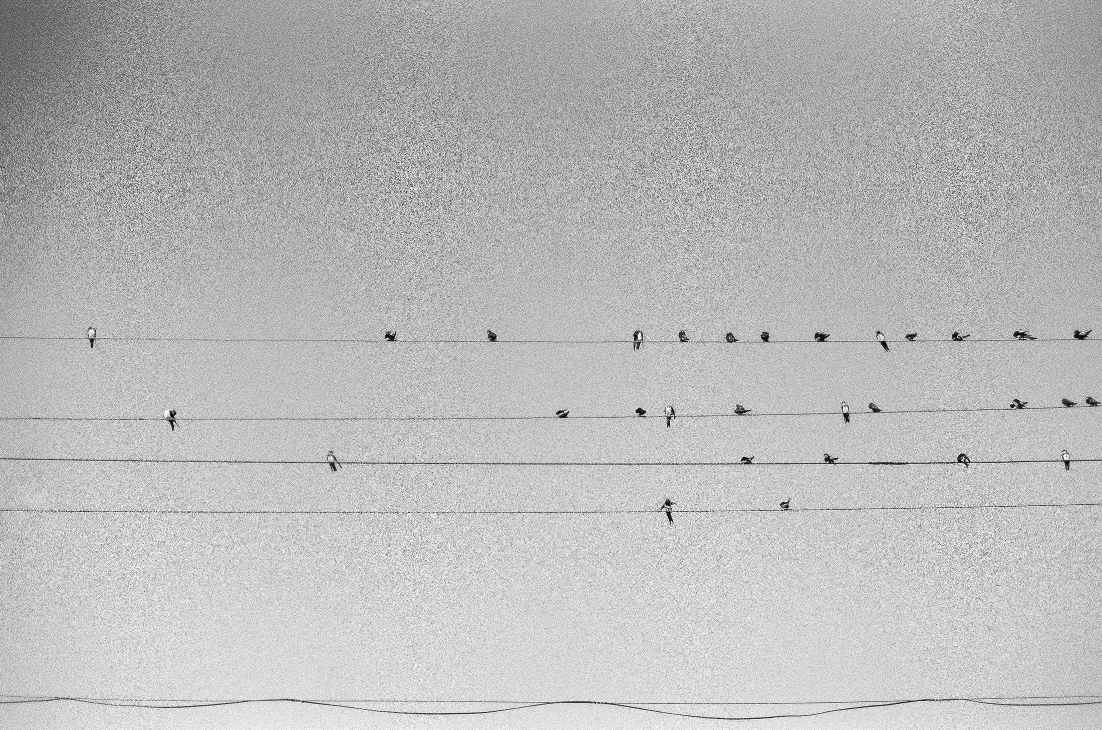 Моя мама Украина. Фотограф в Петербурге Татьяна Гуляева