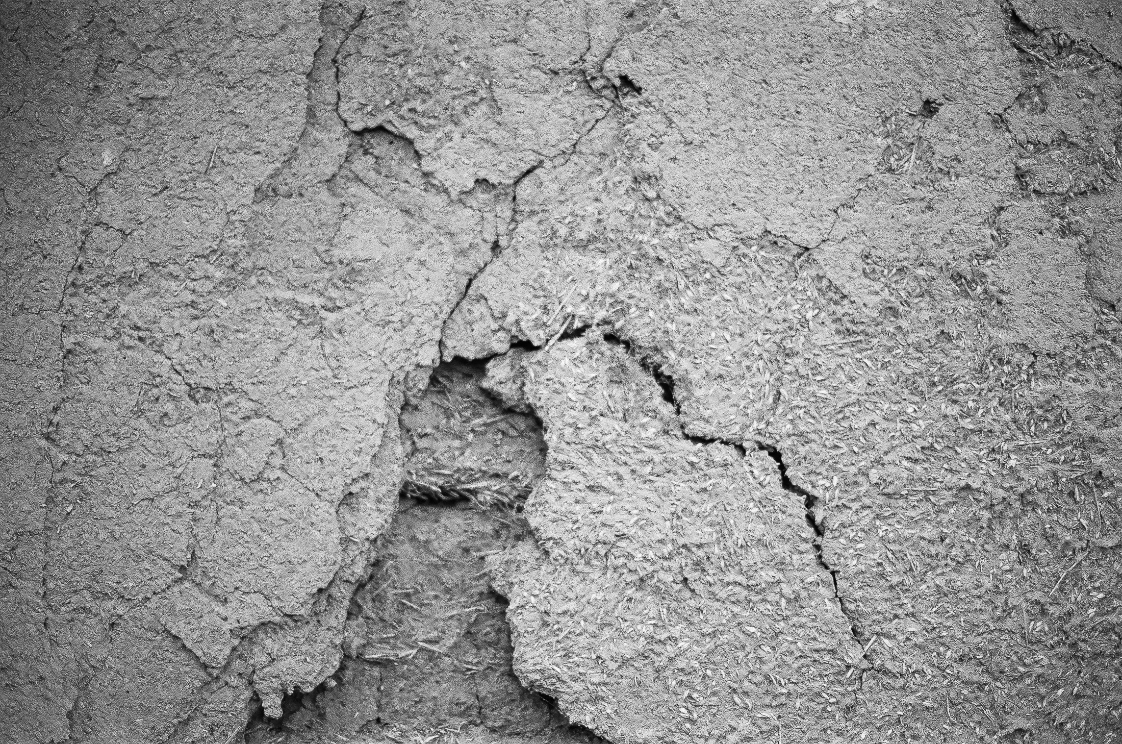 Моя мама Украина. Фотограф в Петербурге Татьяна Гуляева