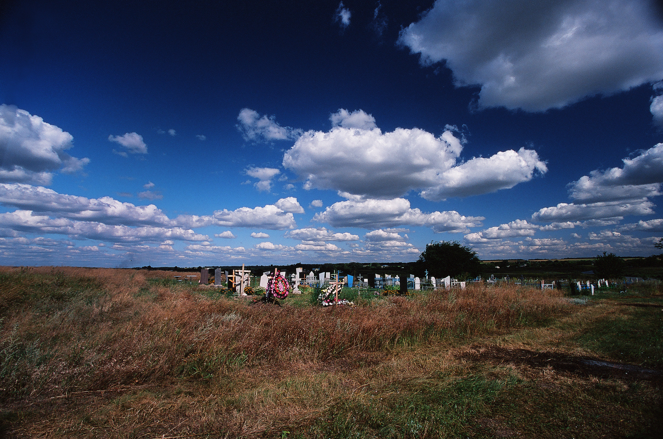 Моя мама Украина. Фотограф в Петербурге Татьяна Гуляева