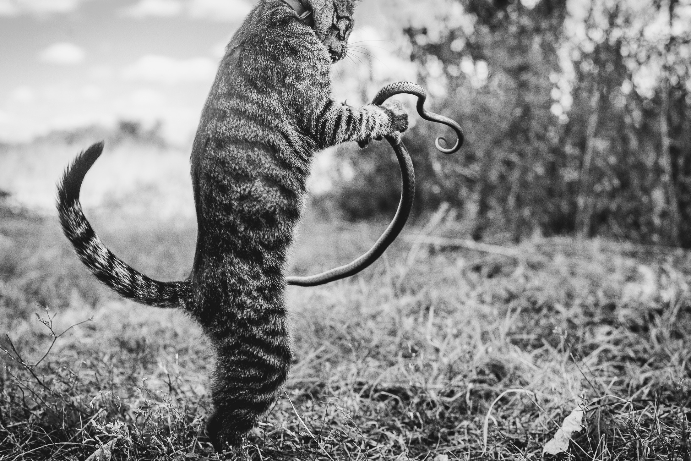 День рождения Ирины в ресторане «Ферма». Фотограф в Петербурге Татьяна Гуляева