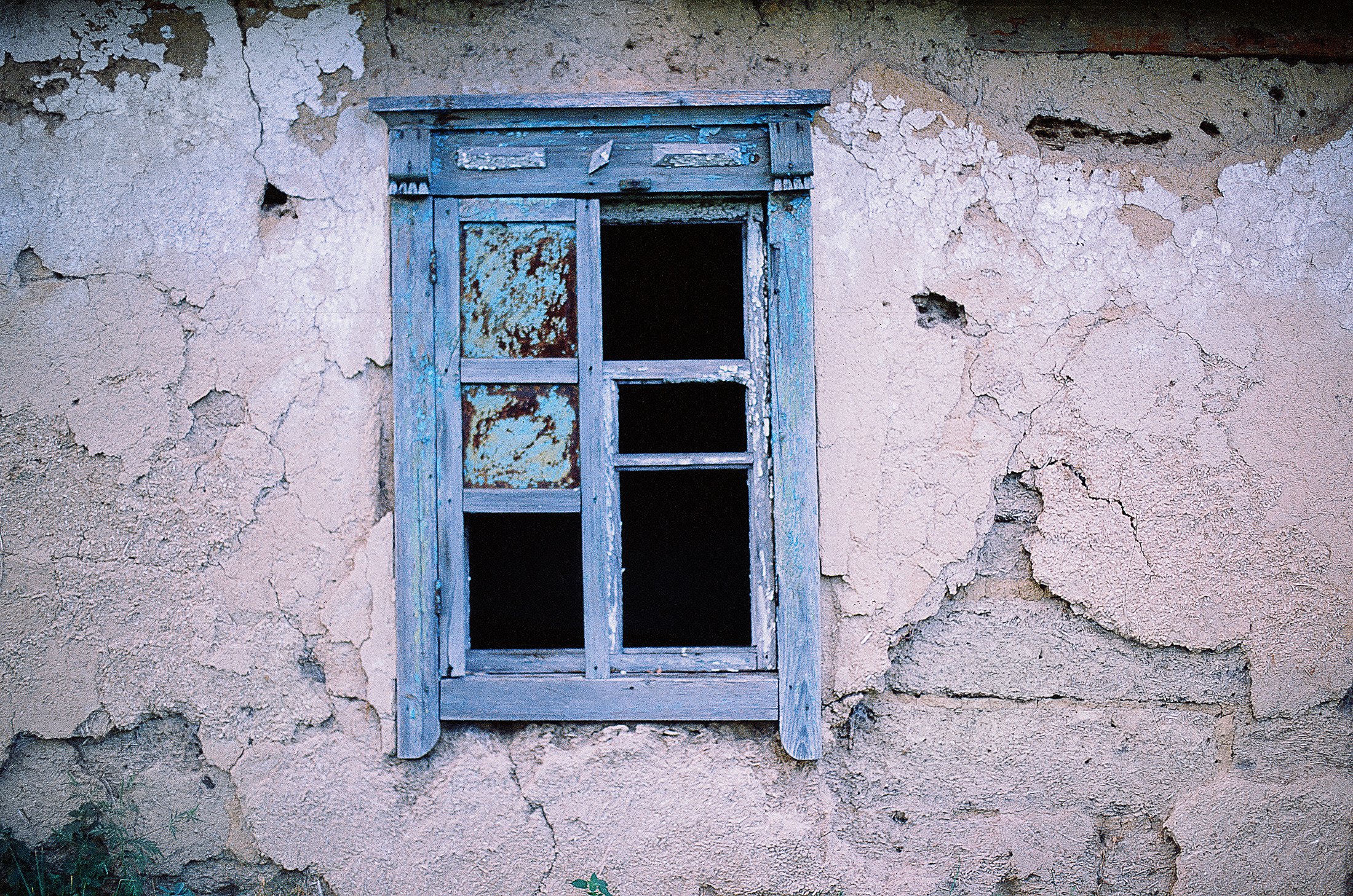 Моя мама Украина. Фотограф в Петербурге Татьяна Гуляева