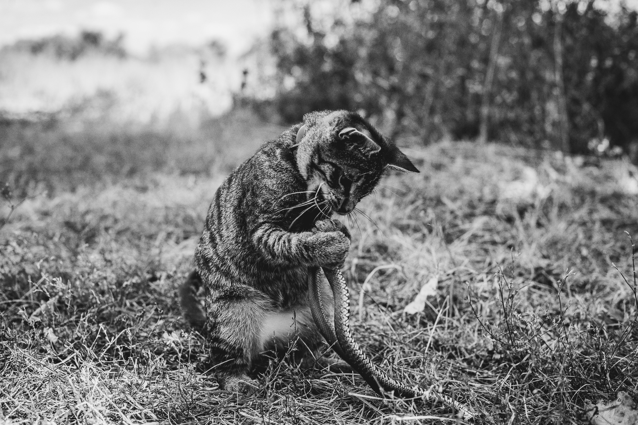 Иртыш и уж. Фотограф в Петербурге Татьяна Гуляева