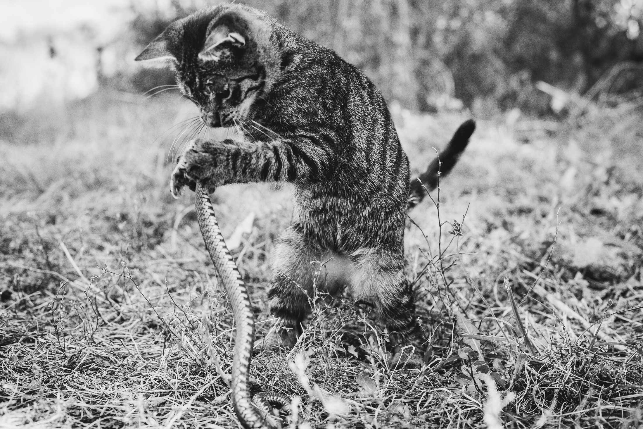 Иртыш и уж. Фотограф в Петербурге Татьяна Гуляева