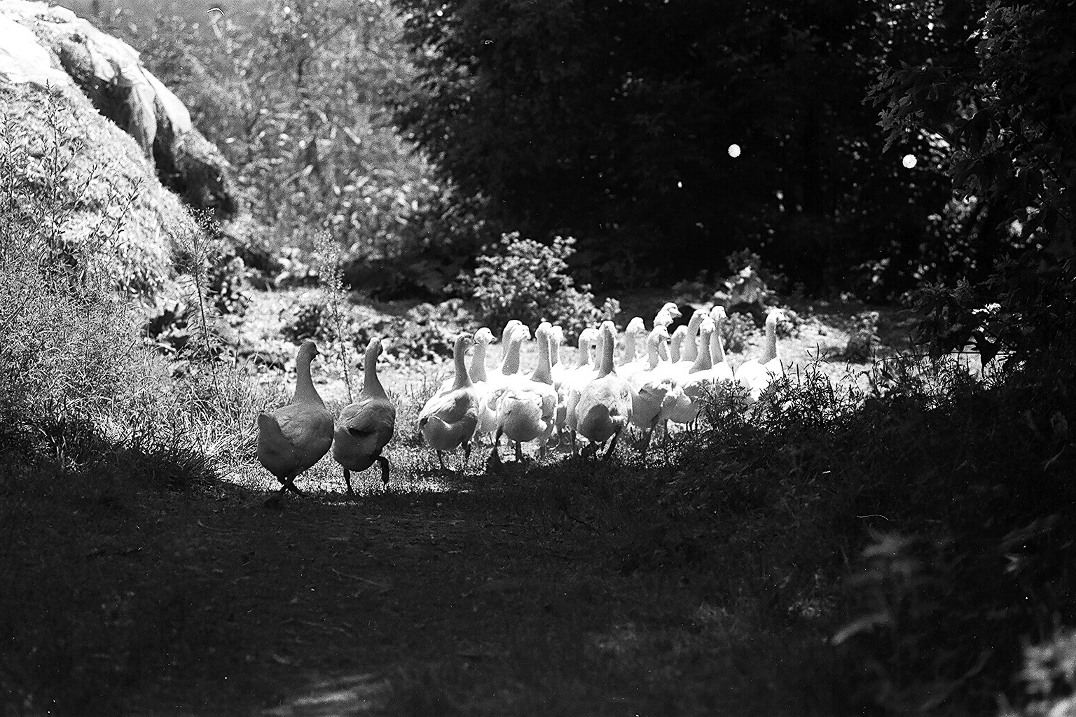Моя мама Украина. Фотограф в Петербурге Татьяна Гуляева