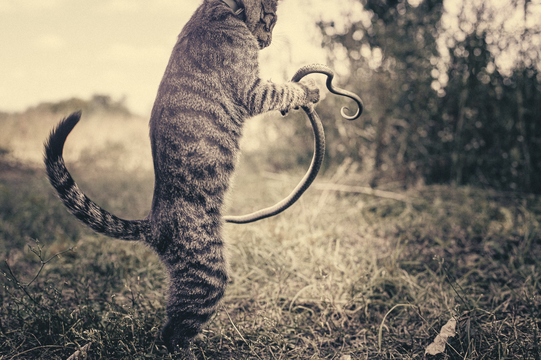 Иртыш и уж. Фотограф в Петербурге Татьяна Гуляева