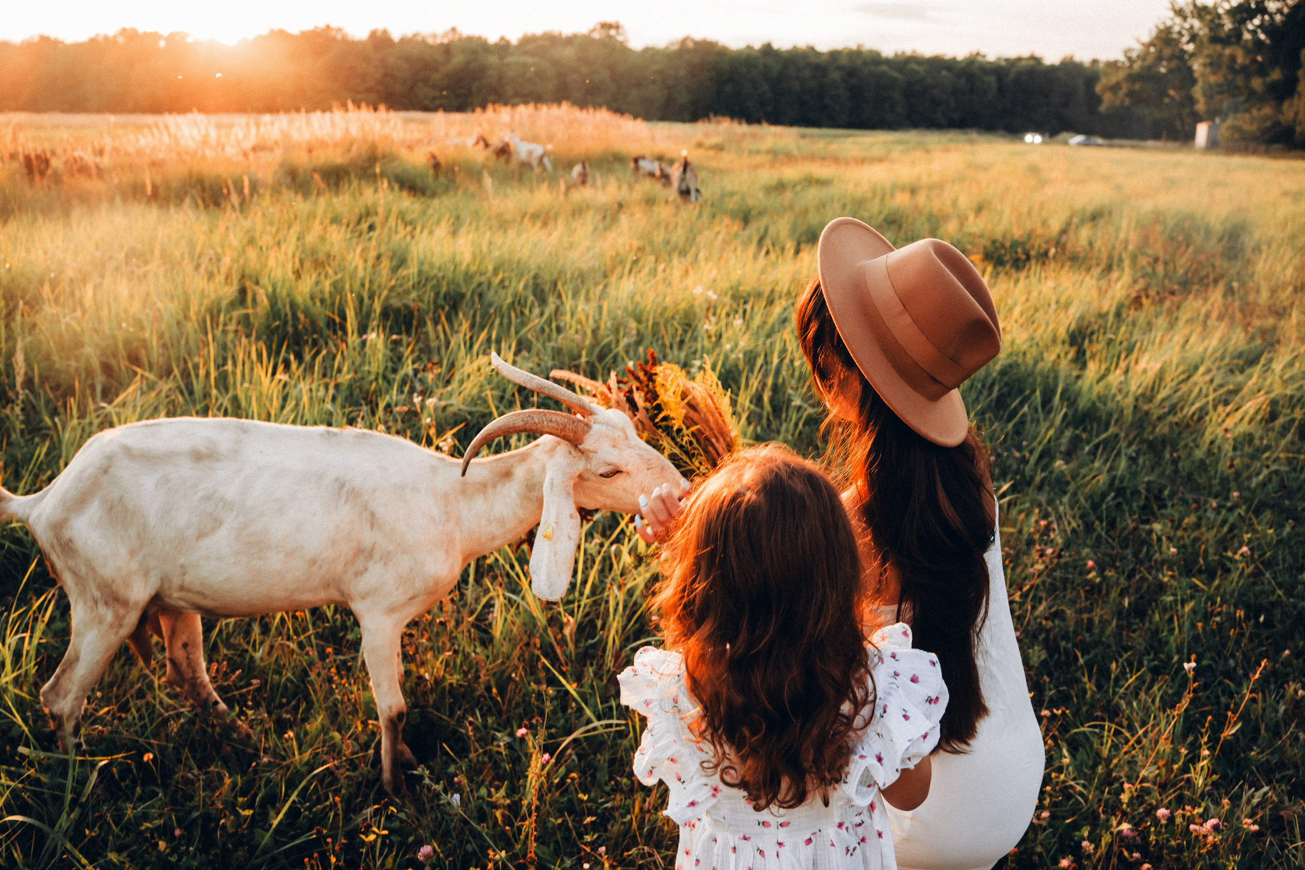 Семейная съемка на закате