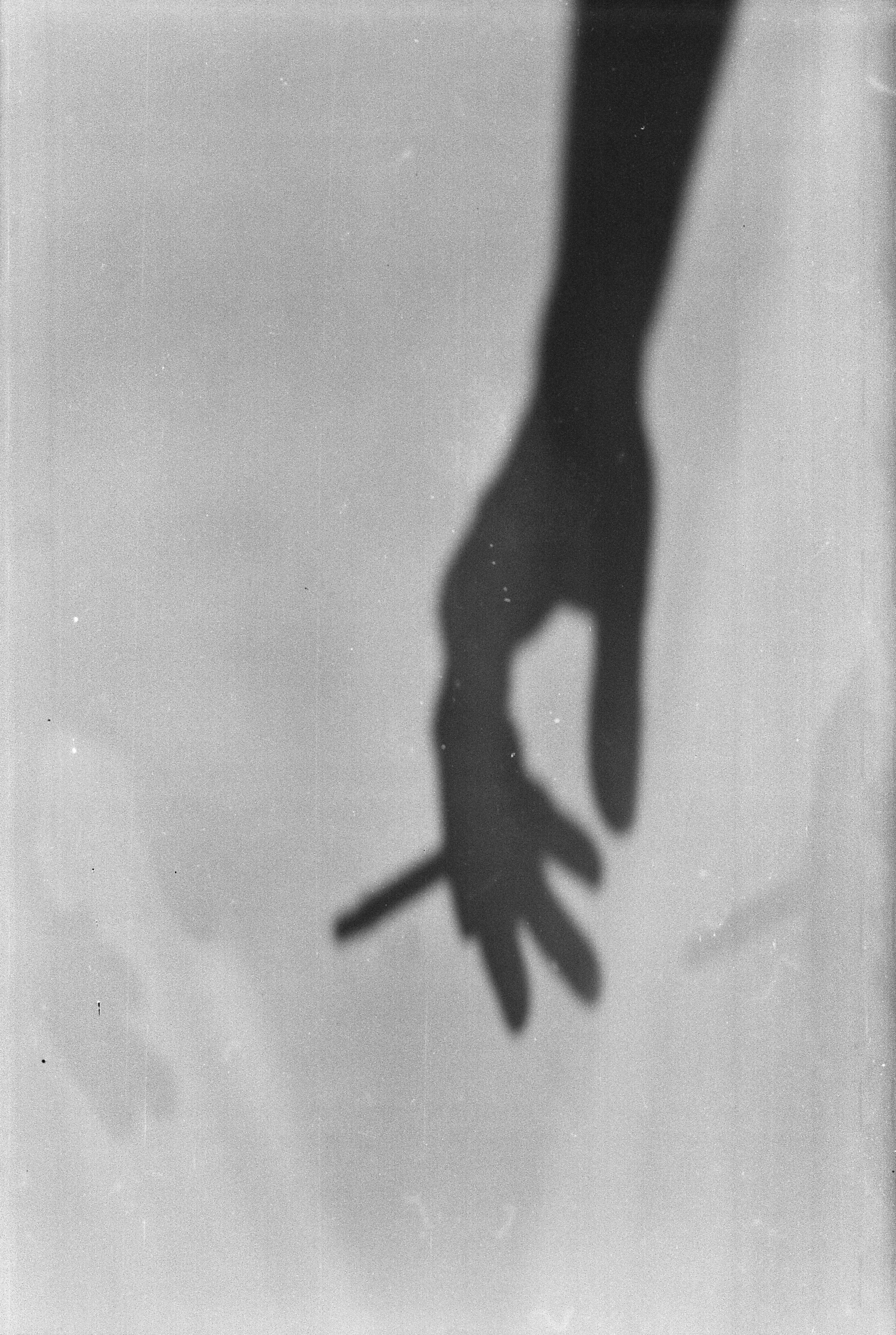 Current catalog. Фотограф Евгений Казекин