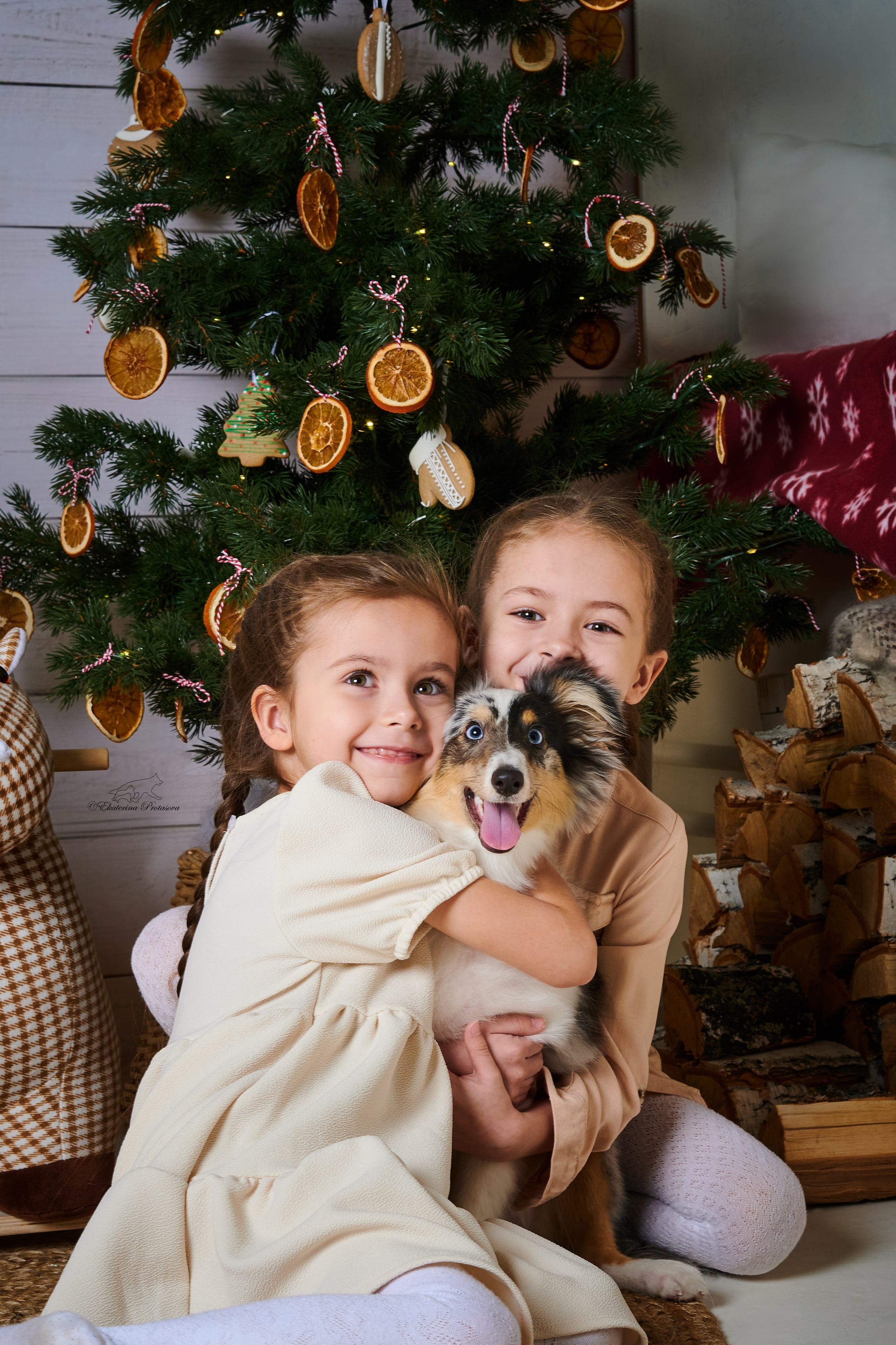 Джек и его семья. Фотограф-анималист в Иркутске
