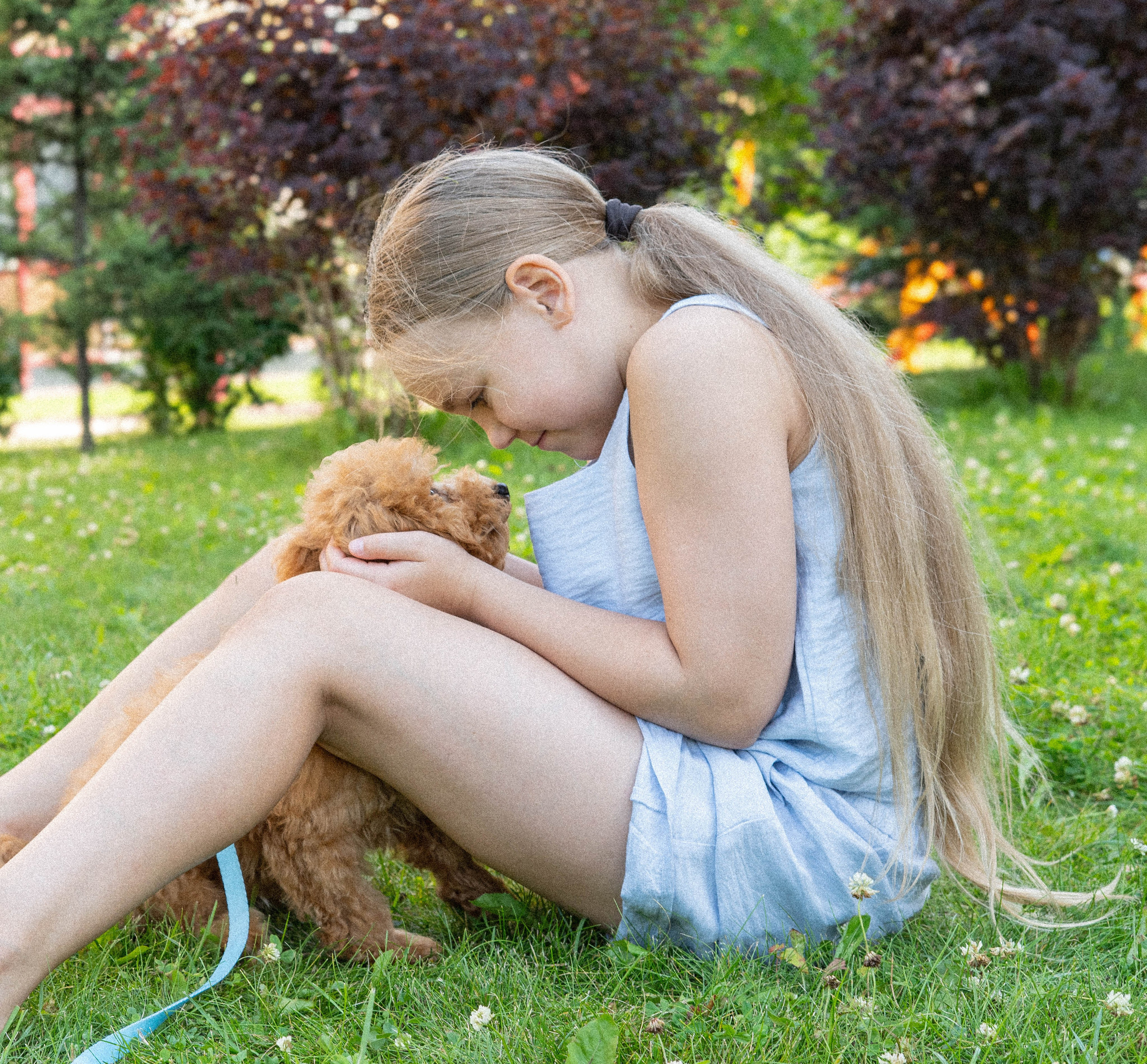 Прогулочная фотосессия Новосибирск Краснообск Love-story  фотосессия Новосибирск Краснообск