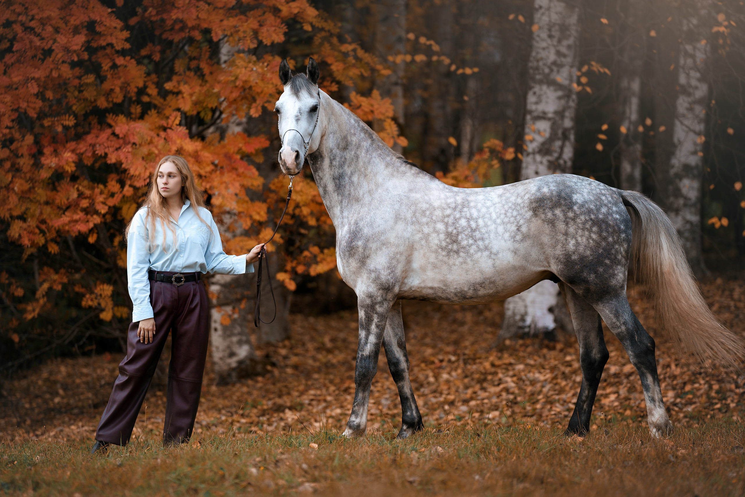 Фотосессии с лошадьми. Фотограф Артемьева Катерина|фотосессии с лошадьми