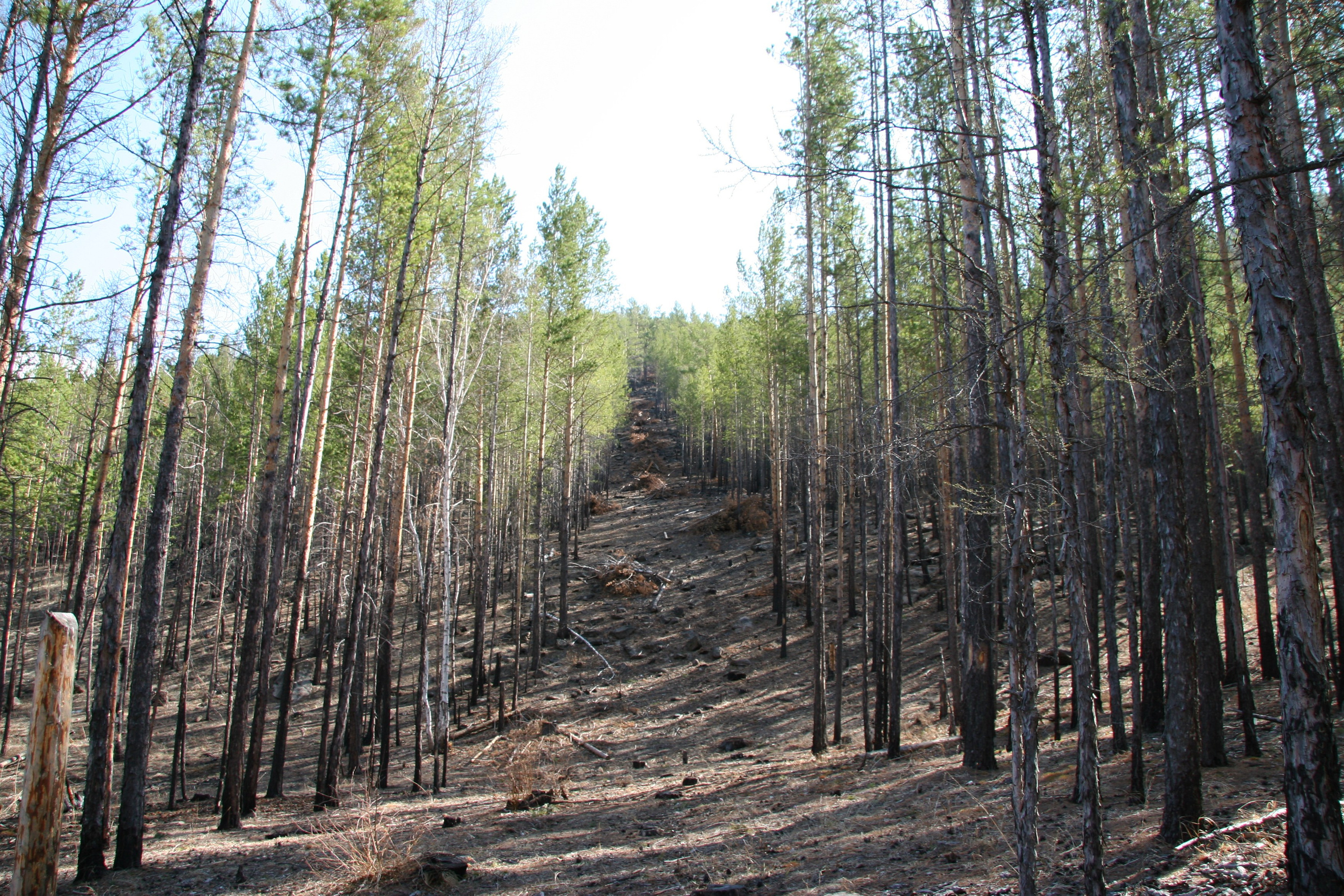 Фото Природы Забайкалья. Студия Максима Белослюдцева