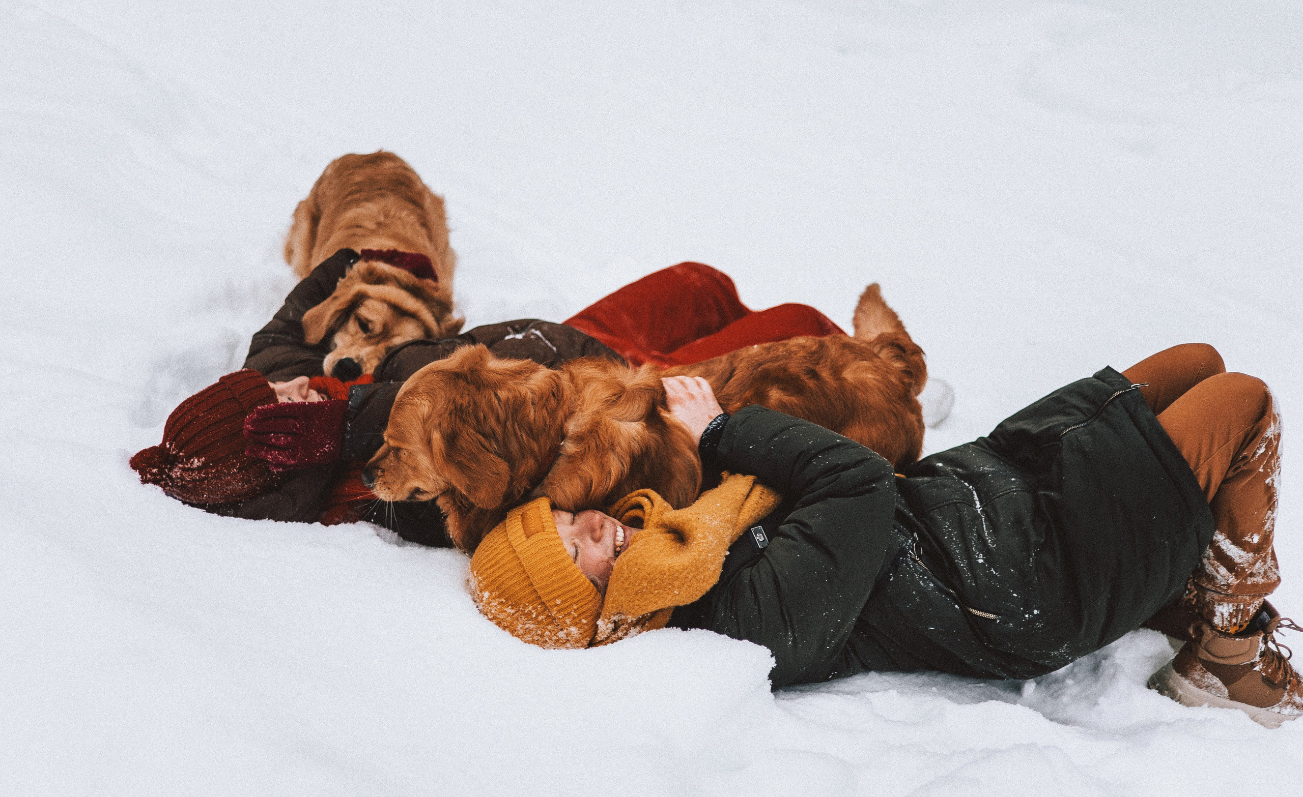 Саша, Юля, Грэй и Джой. Фотограф-анималист Богданова Полина