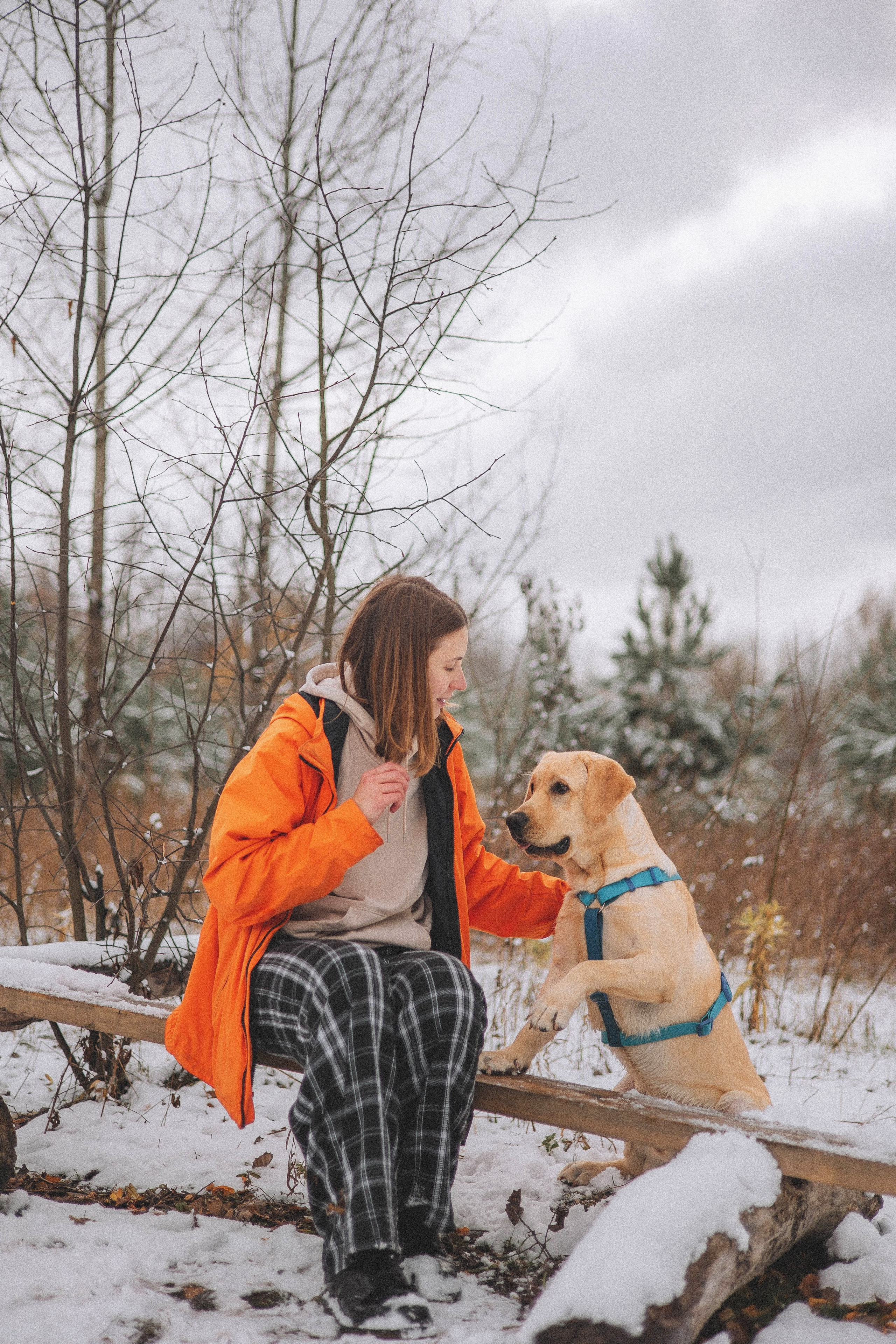 Маргарита и Варди. Фотограф-анималист Богданова Полина