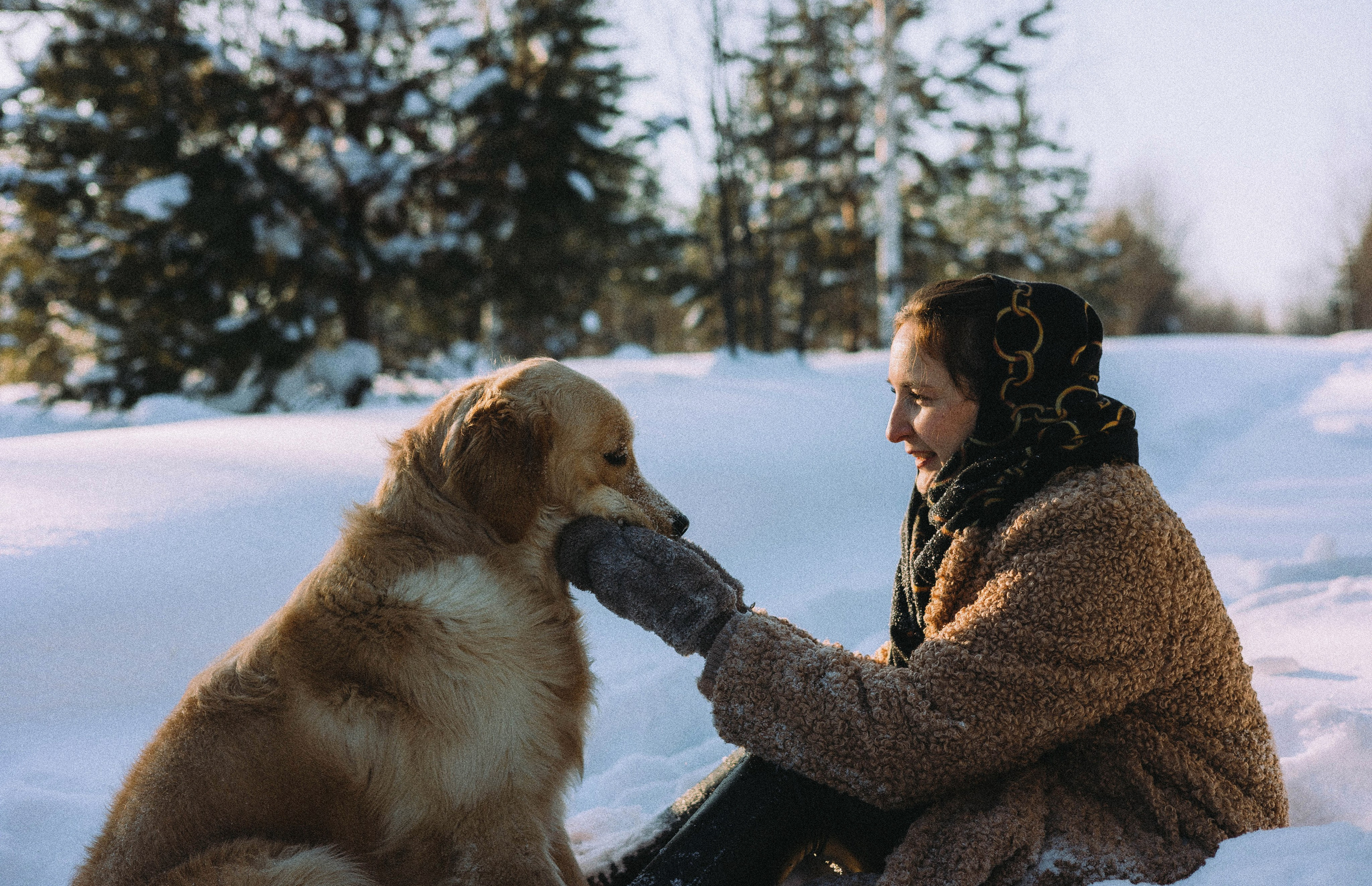 Лена и Декстер. Фотограф-анималист Богданова Полина