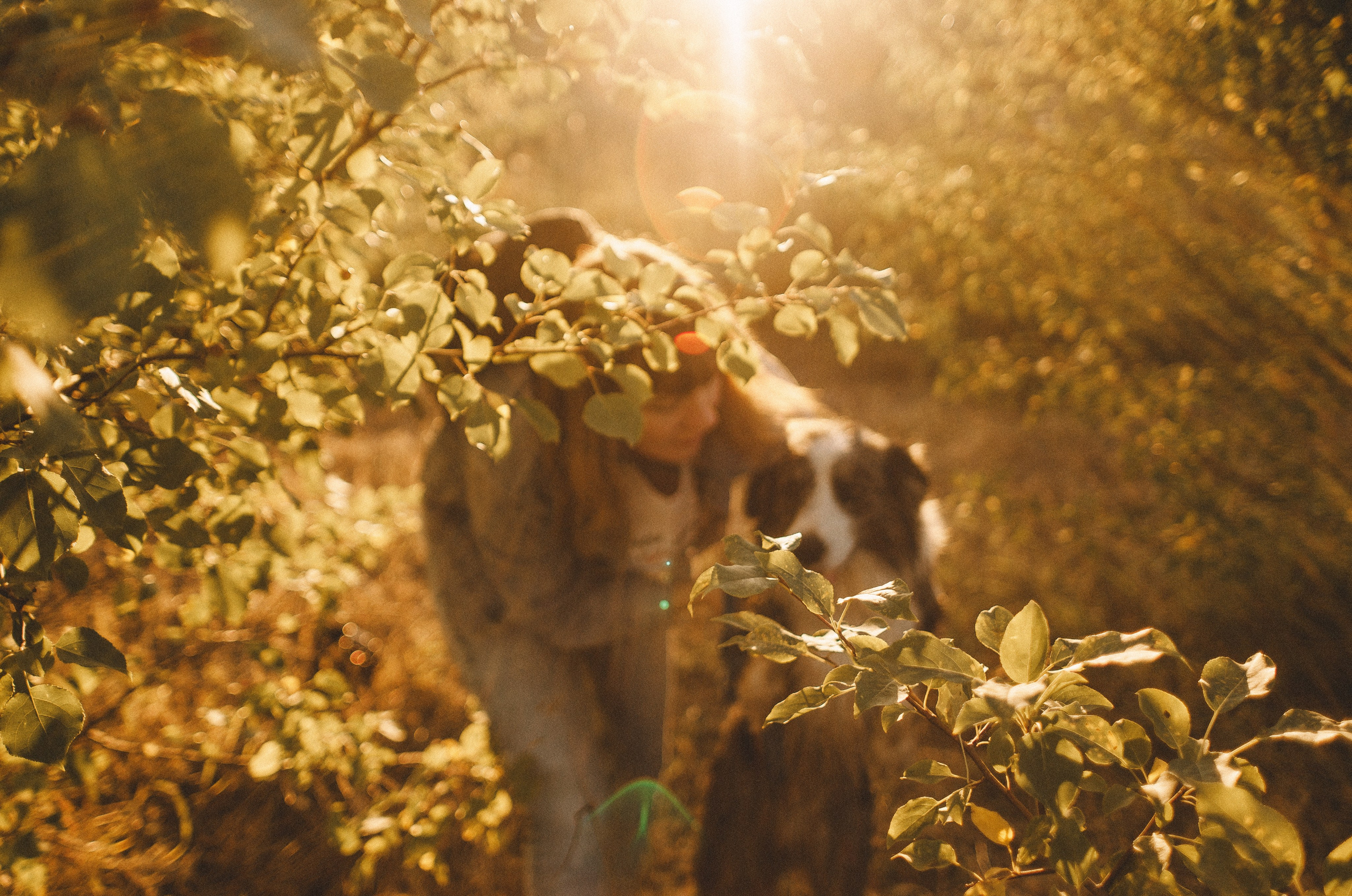 Таня и Бриллиант. Фотограф-анималист Богданова Полина