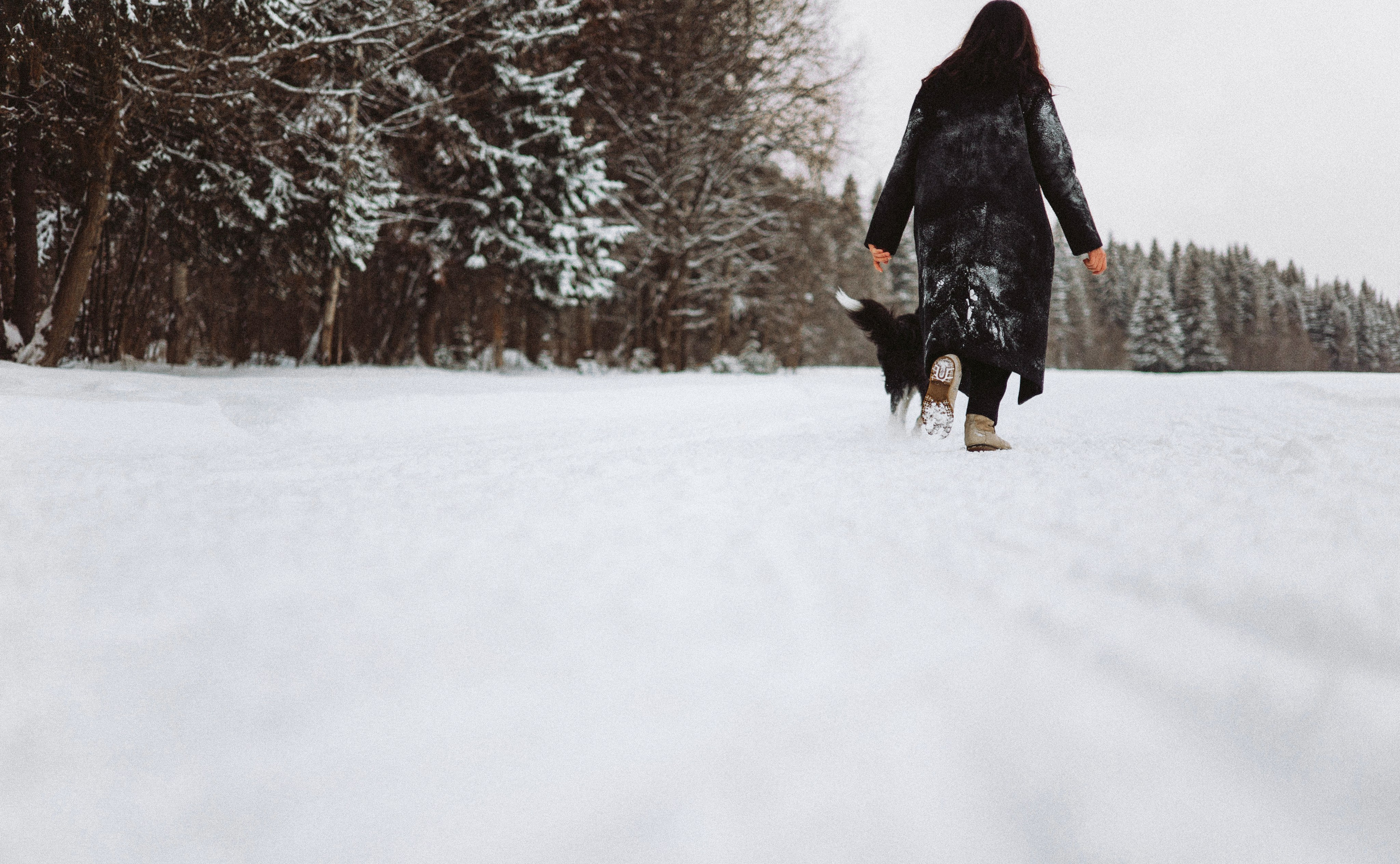 Алина и Найт. Фотограф-анималист Богданова Полина