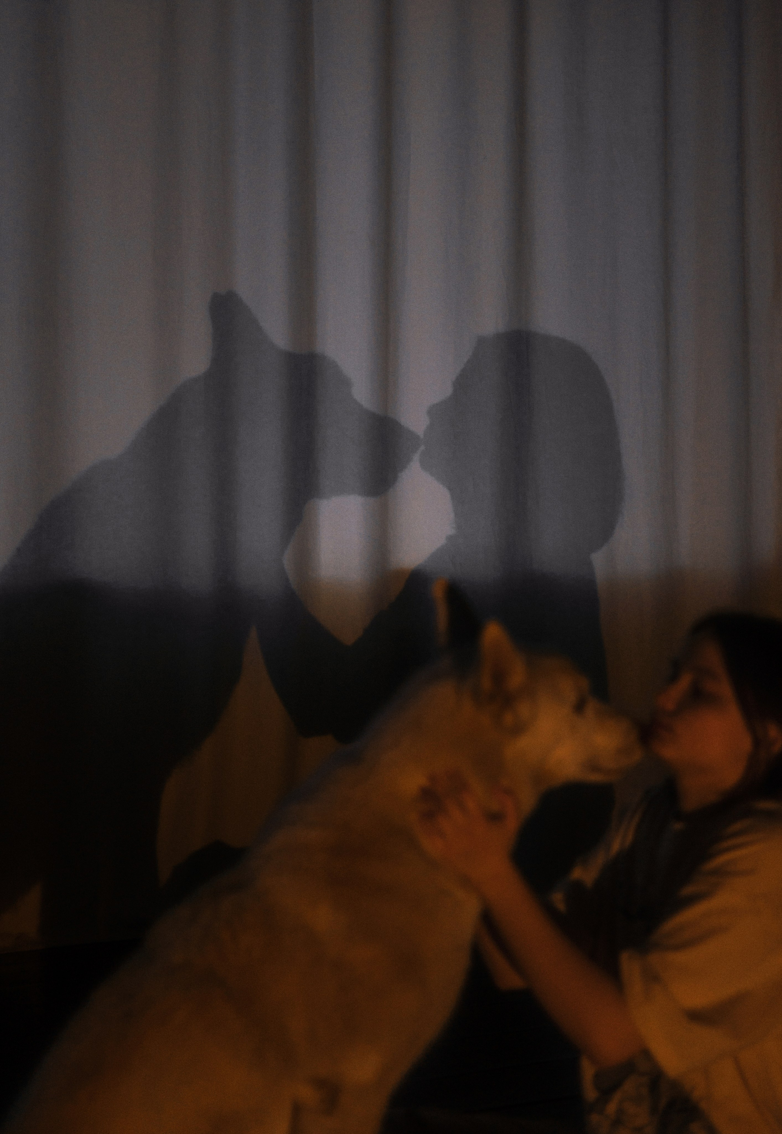 Аня, Дэймон и Грэй. Фотограф-анималист Богданова Полина