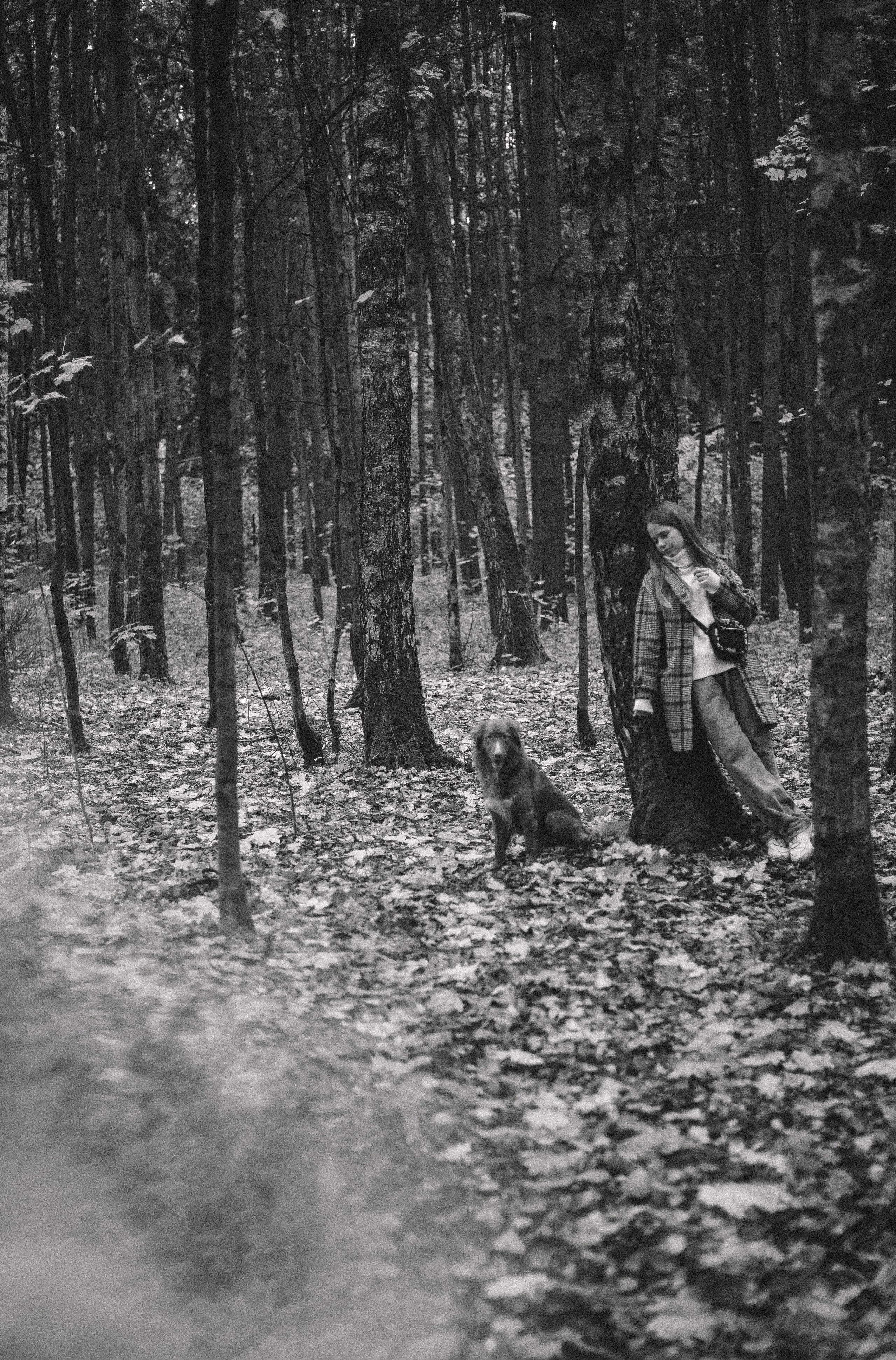 Алина и Бис. Фотограф-анималист Богданова Полина