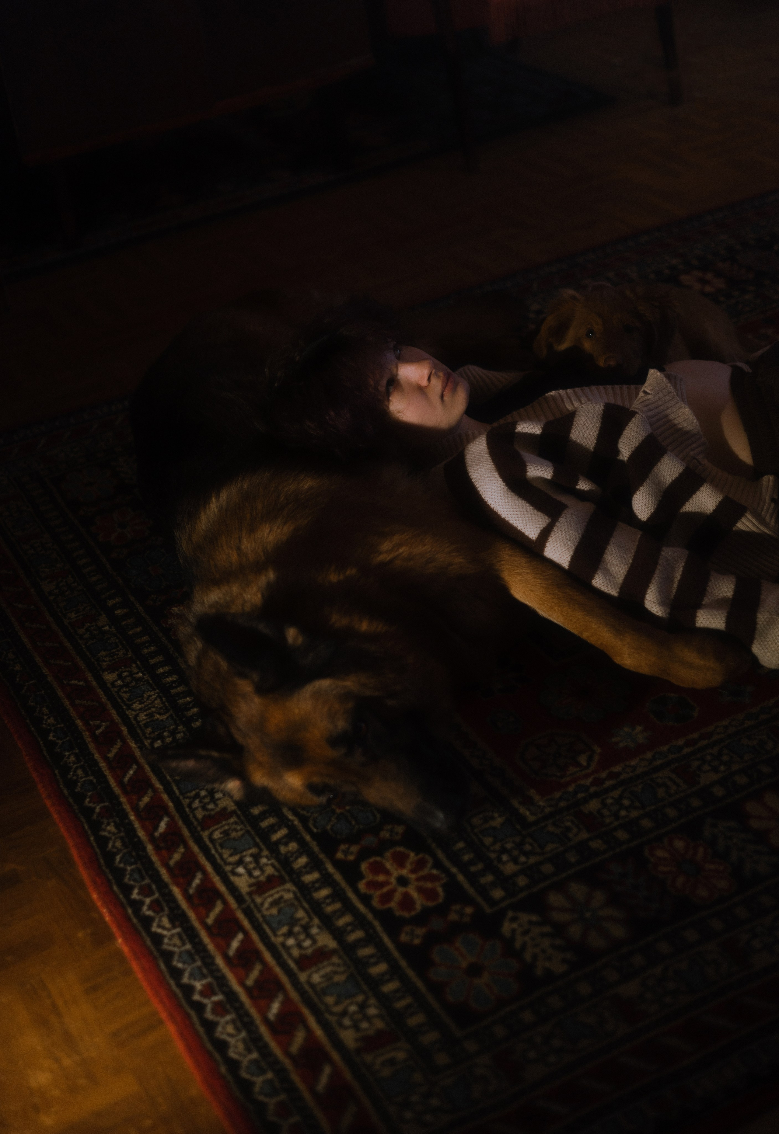 Лера, Реджи и Ральф. Фотограф-анималист Богданова Полина