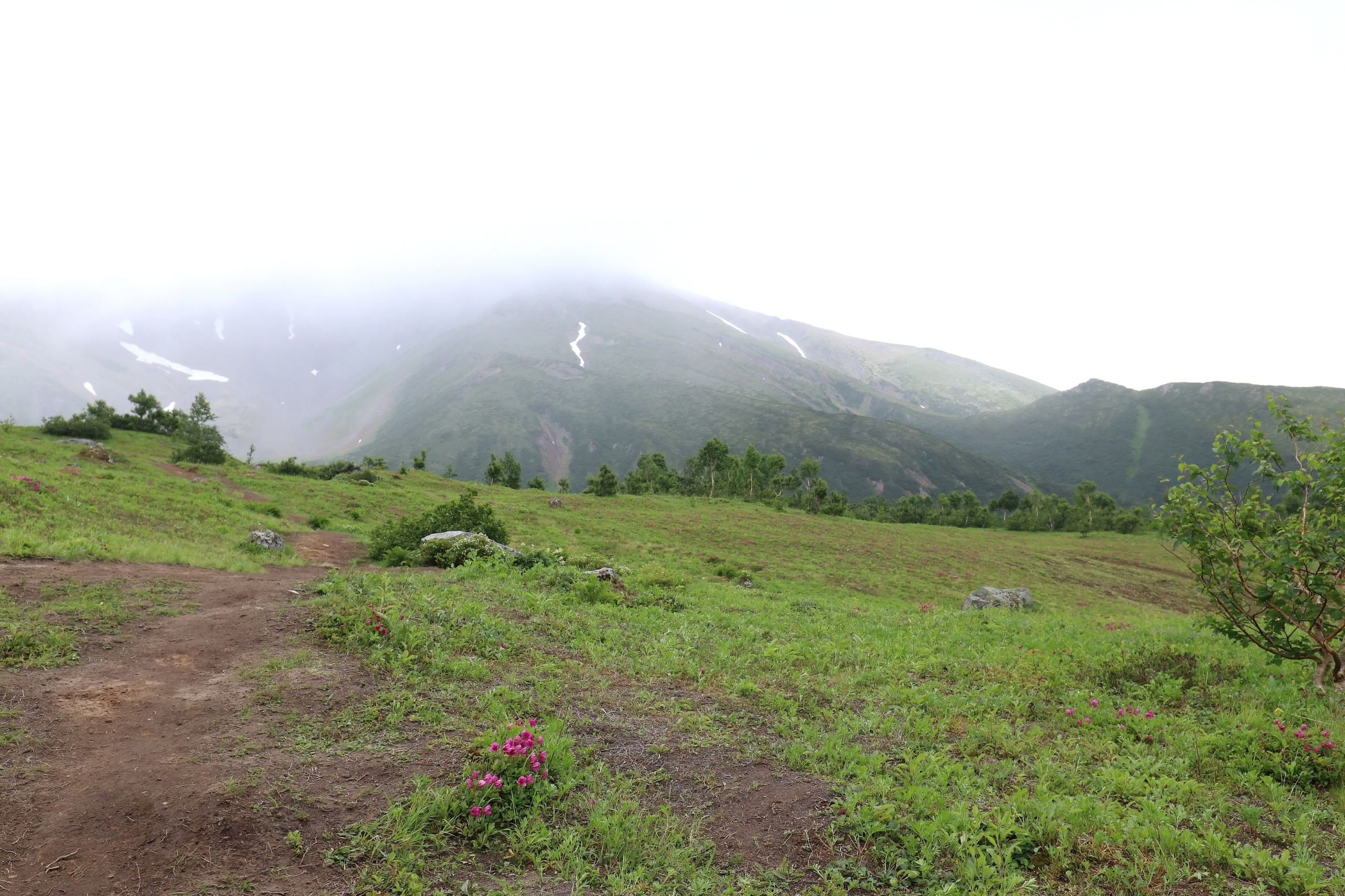 Камчатка и о. Парамушир. Июль 2024. Путешественник-фотограф из Санкт-Петербурга Татьяна Свистулина