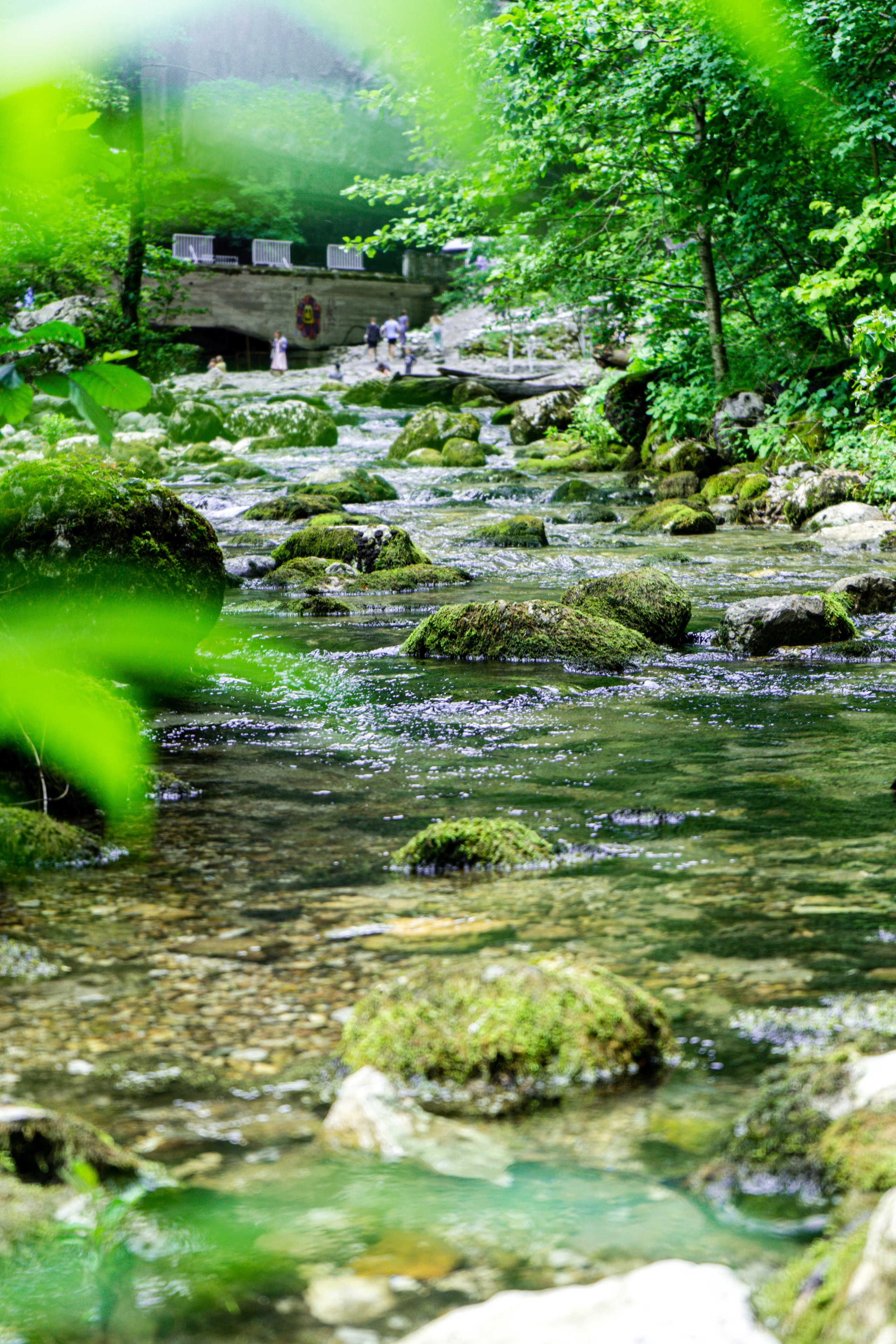 Натура. Владислав Кожух | Фотограф | Видеограф | Режиссёр