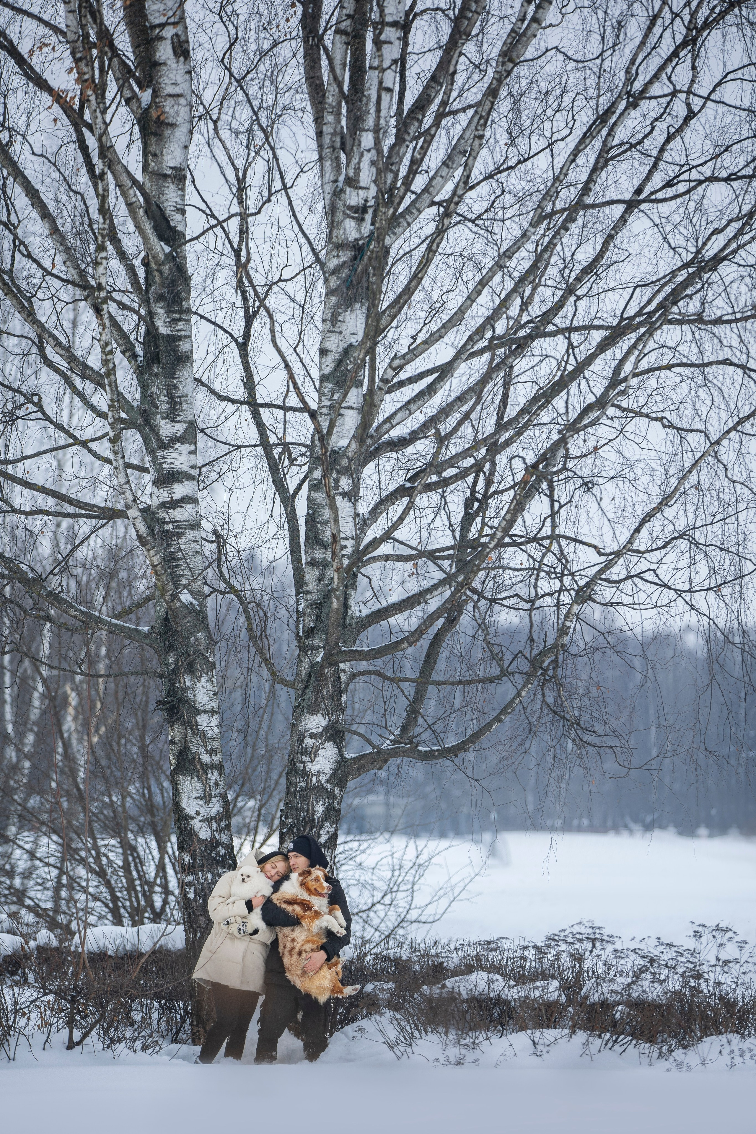 Настя, Игорь, Тесс и Марс. Фотограф анималист в Москве Майорова Евгения