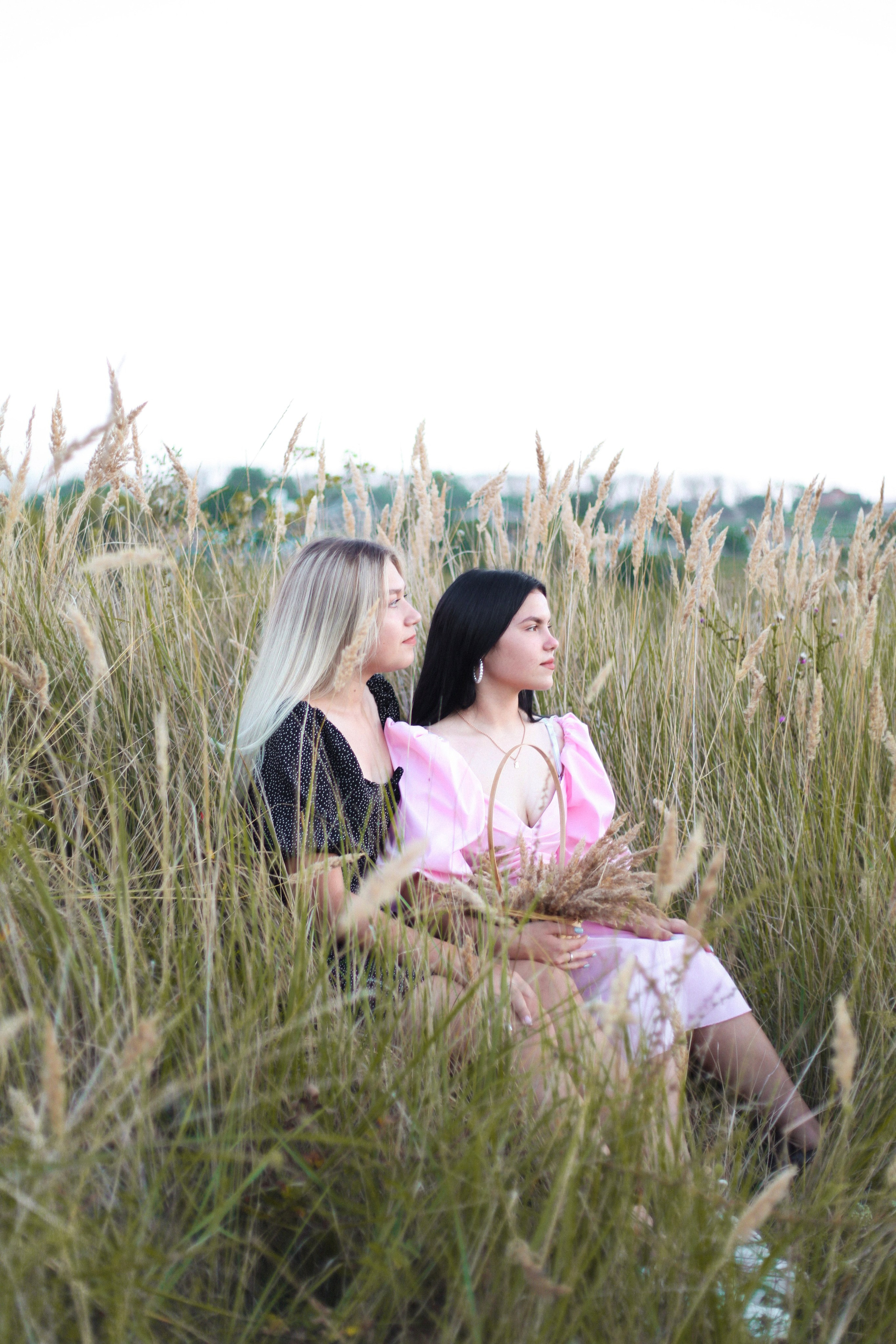 Friends. О фотографии с душой