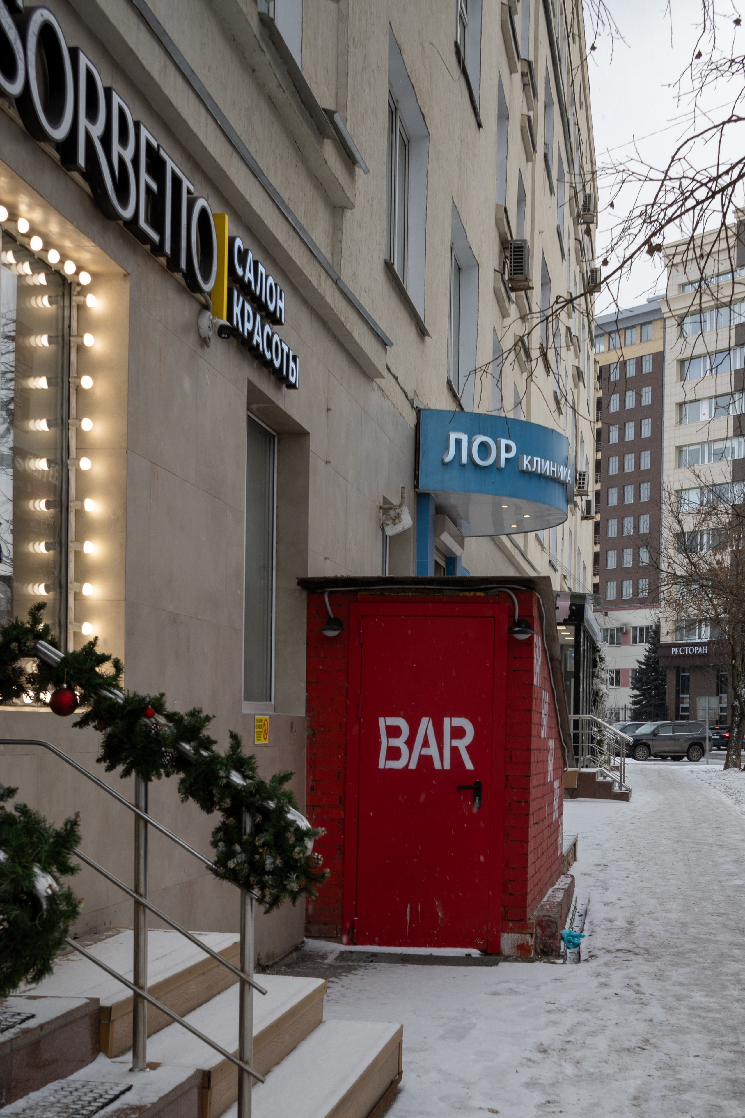 20250216 Нескучный сад. Дмитрий Ремизов. Фотография, как хобби