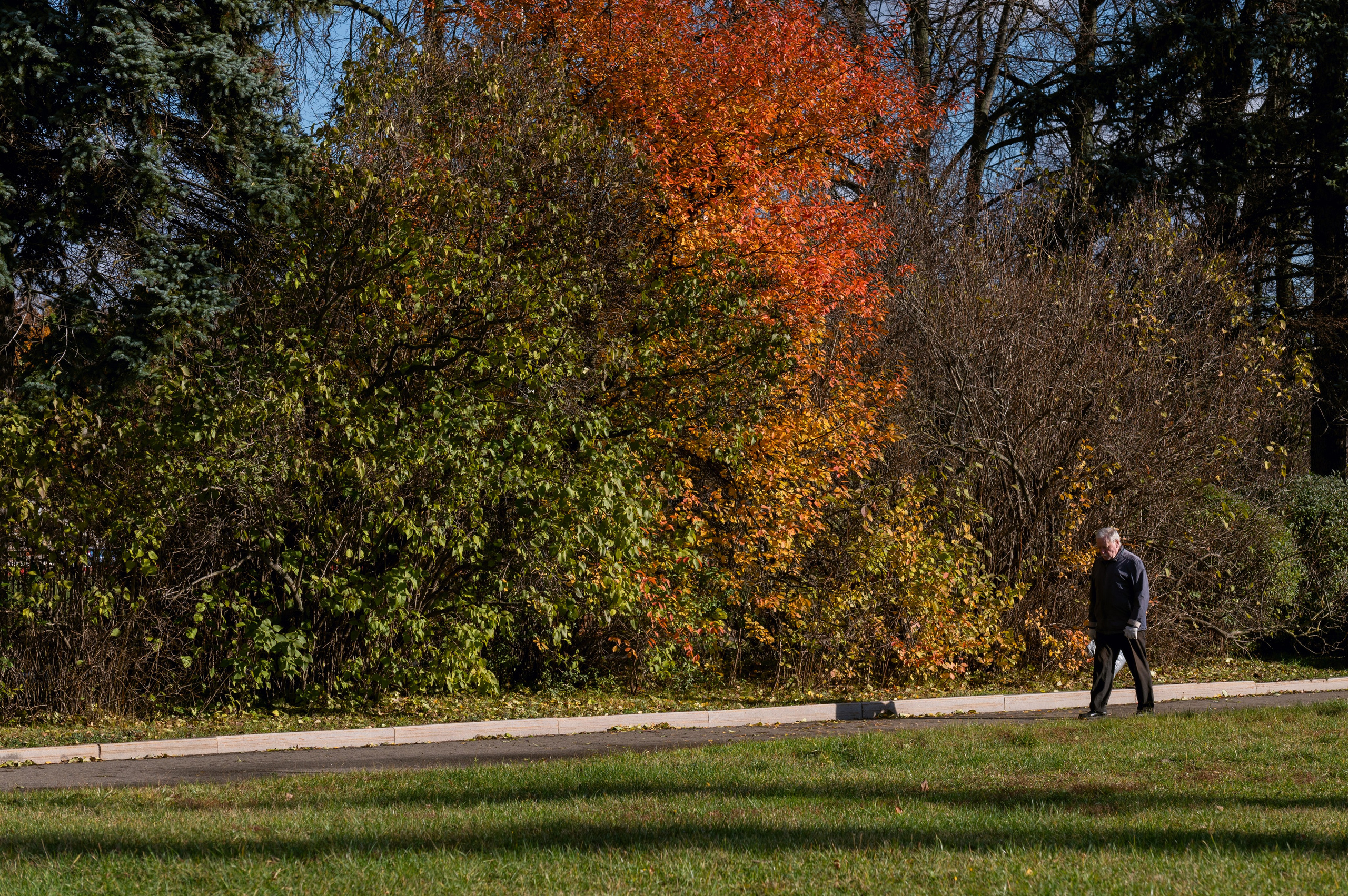 20241102 МГУ. Дмитрий Ремизов. Фотография, как хобби