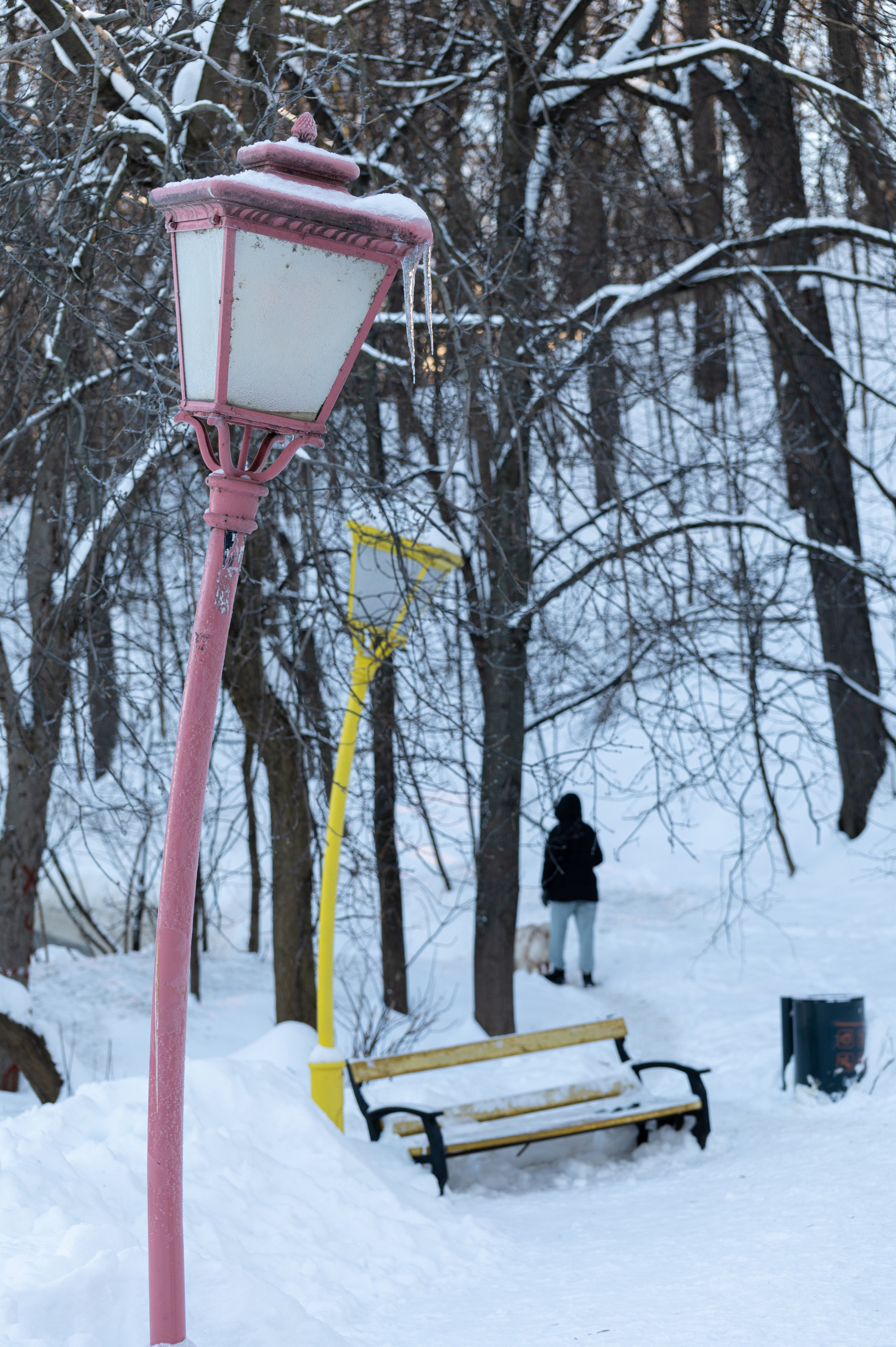 20240120 Воробьёвы горы. Дмитрий Ремизов. Фотография, как хобби