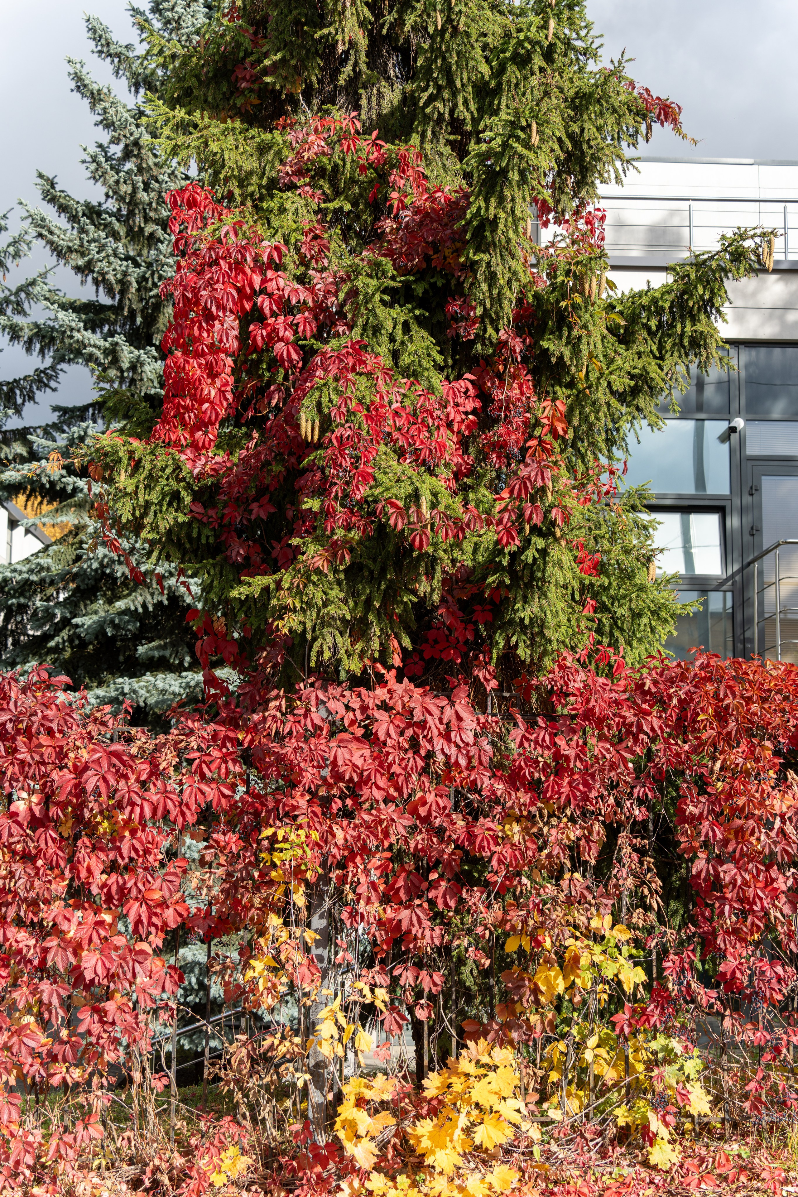 20251012 МГУ. Дмитрий Ремизов. Фотография, как хобби