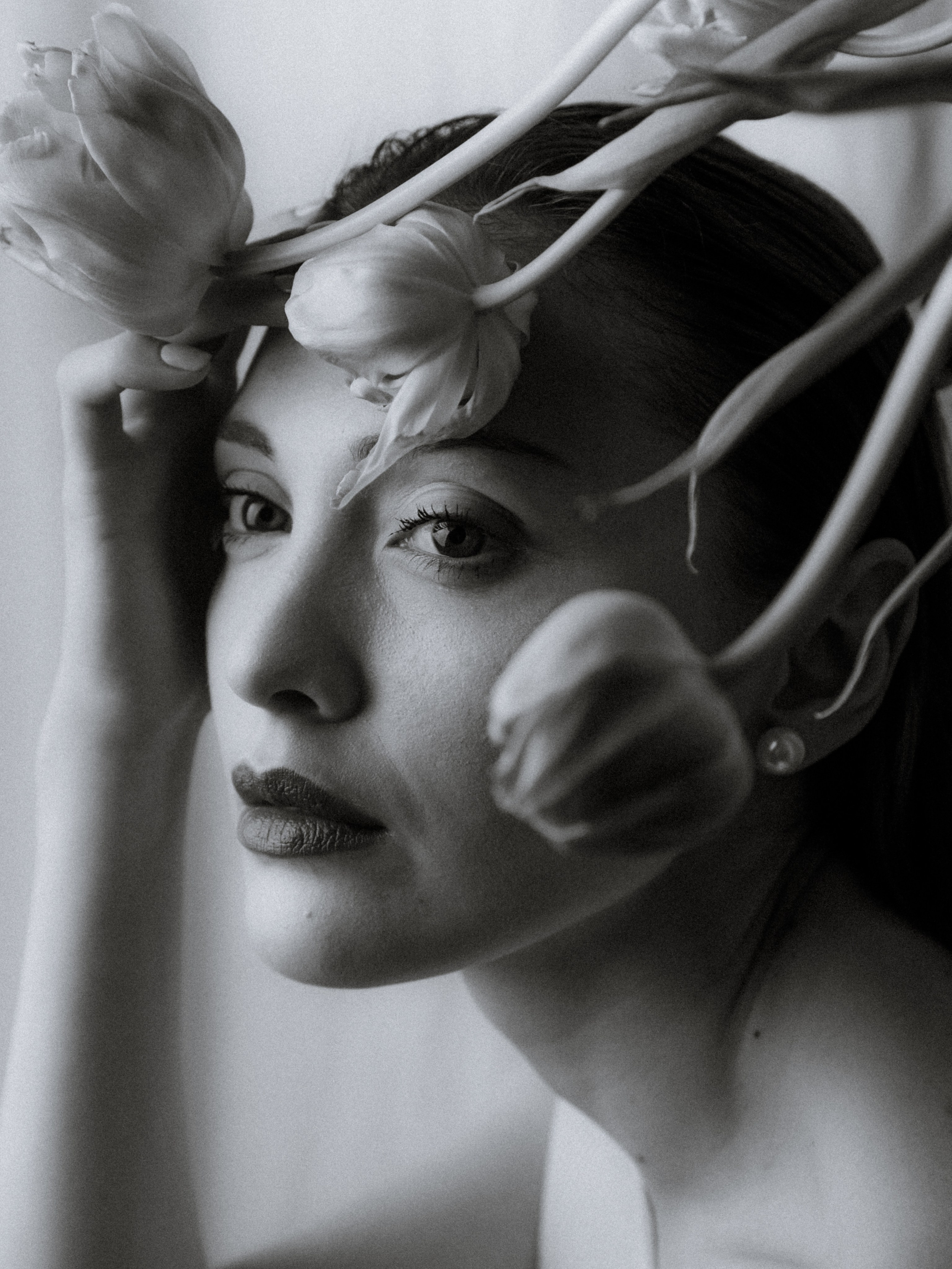 DIGITAL. Director of photography