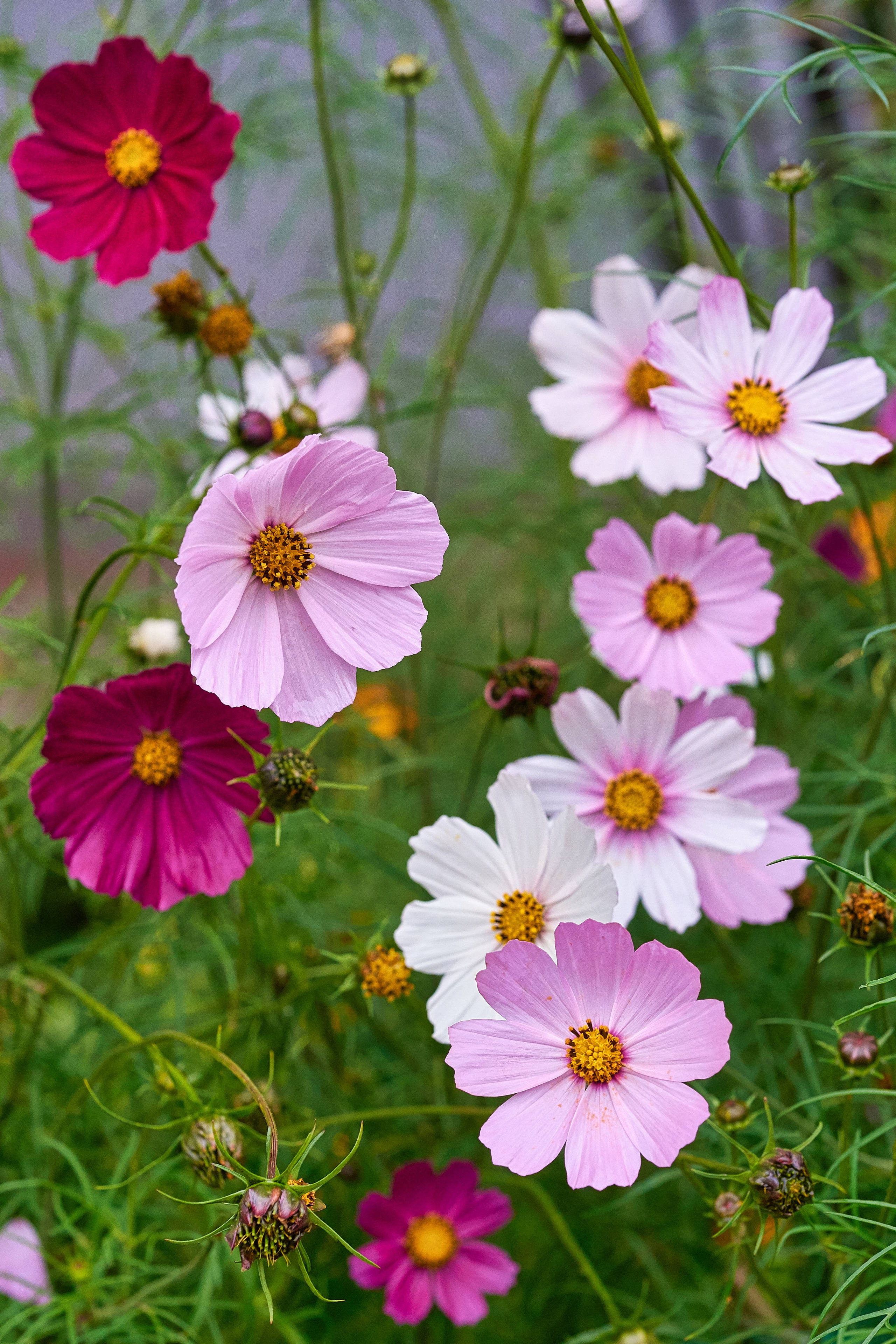 Наша мать — природа. Фотограф Владимир Артамонов