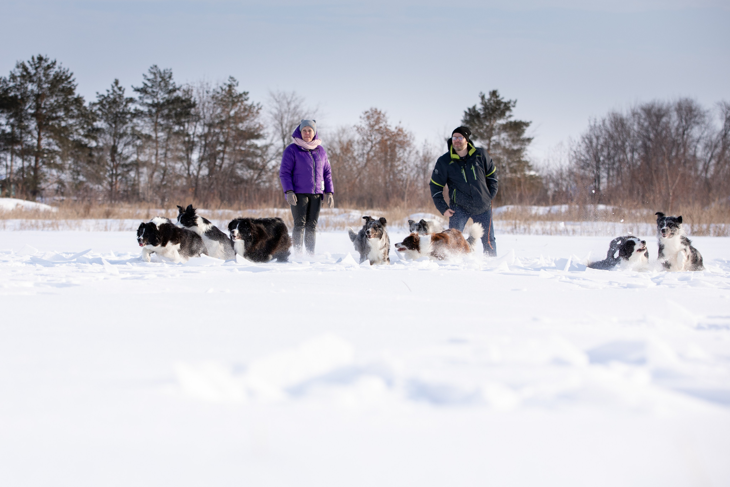 Мороз и солнце. О нас