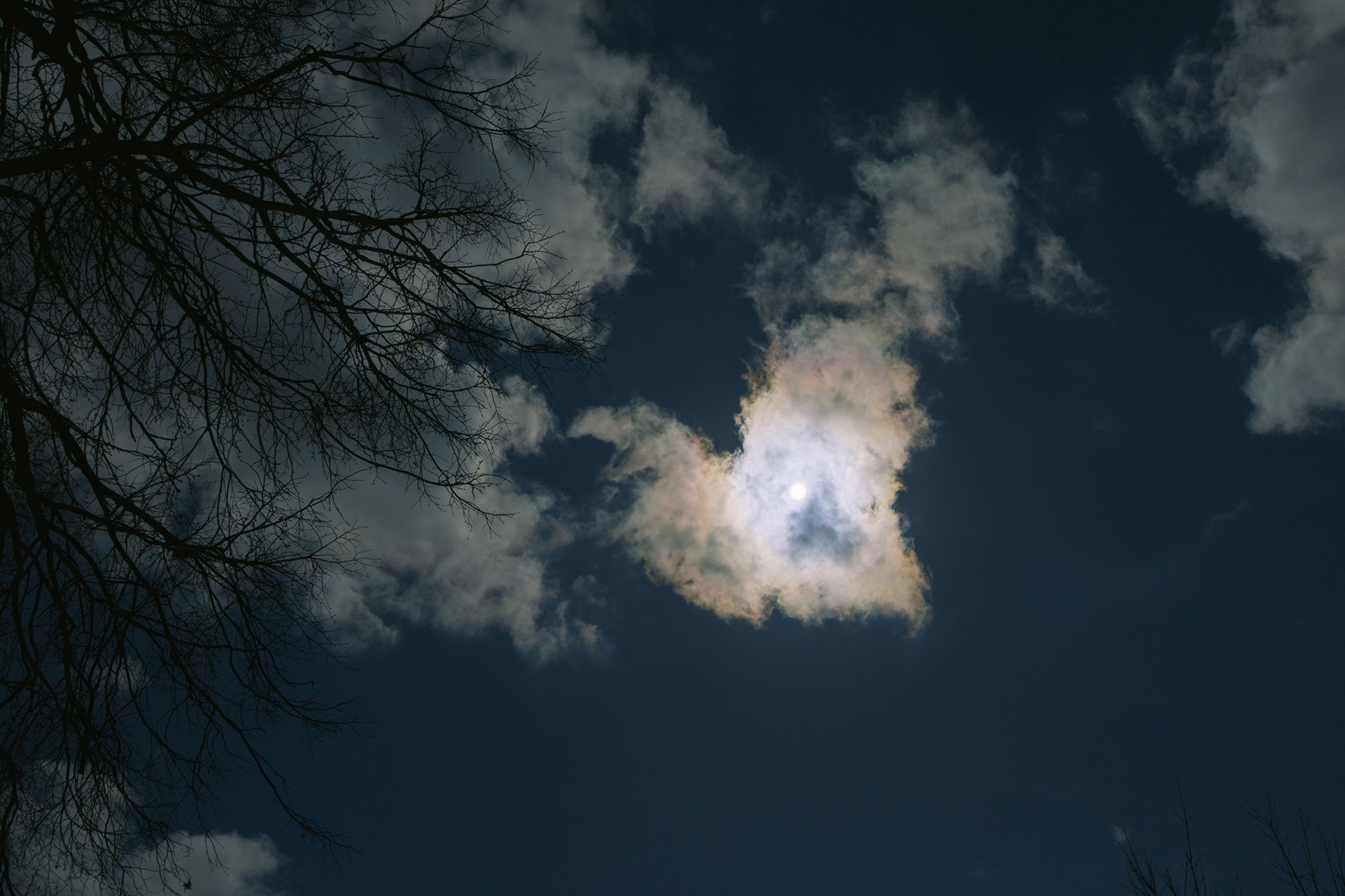 Свадебная прогулка в Царицыно. Свадебный фотограф в Москве Аля Загирова