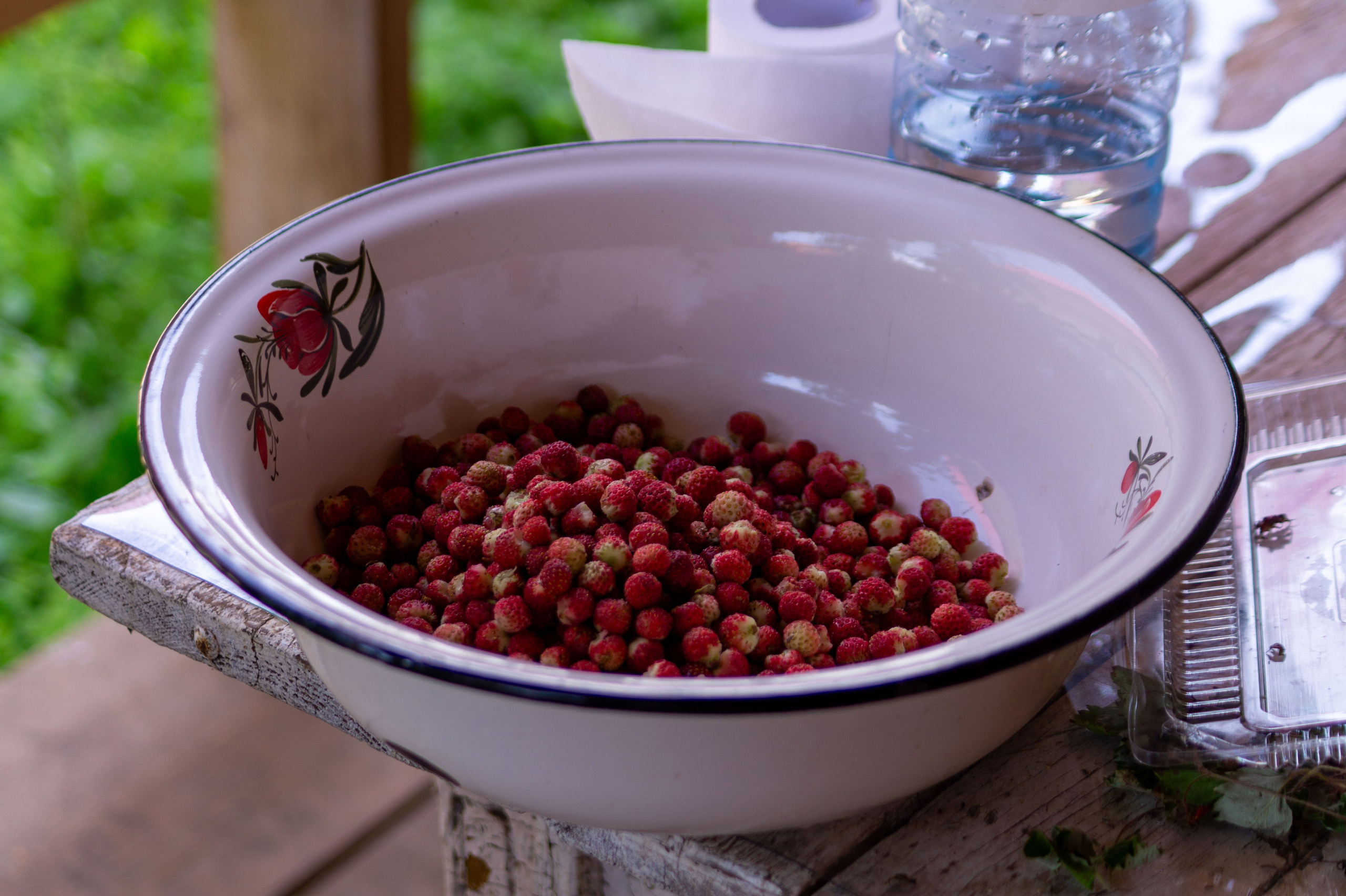 Г. Вятские Поляны лето 2025. Портретный и семейный фотограф Санкт-Петербург