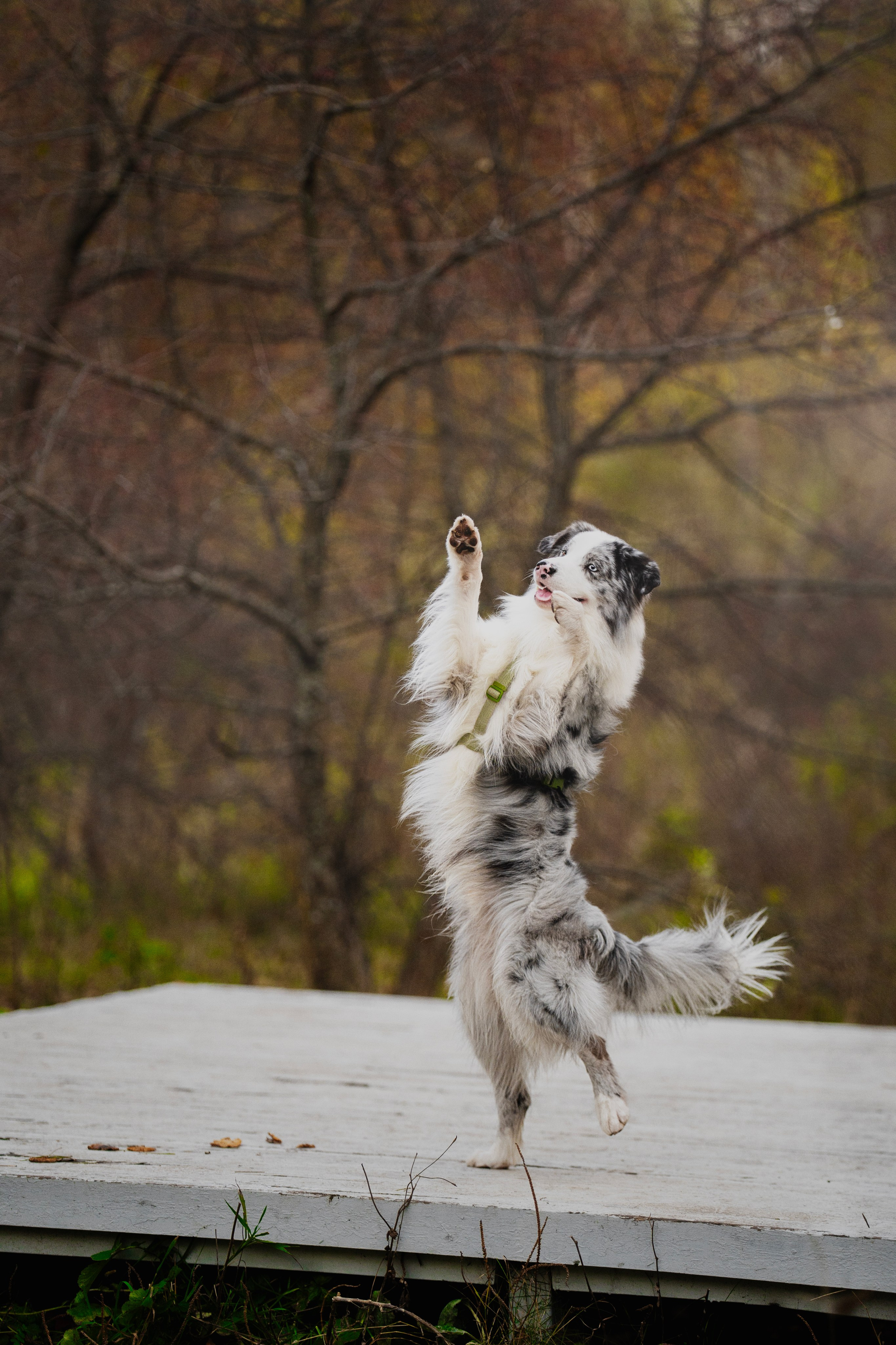 Съемка Альфа. Kameramotor74