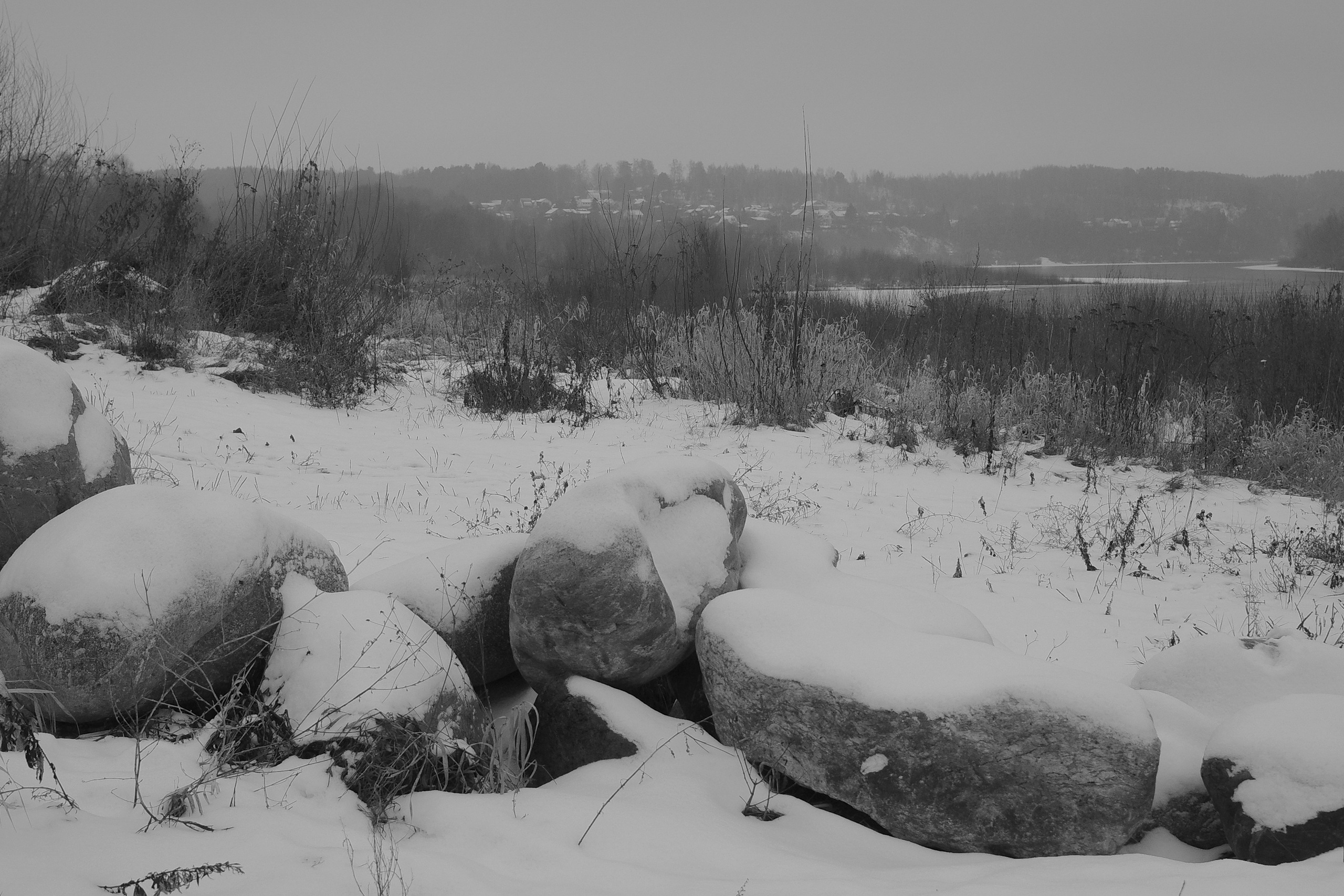 — 2025. Фотограф Злата Спицына